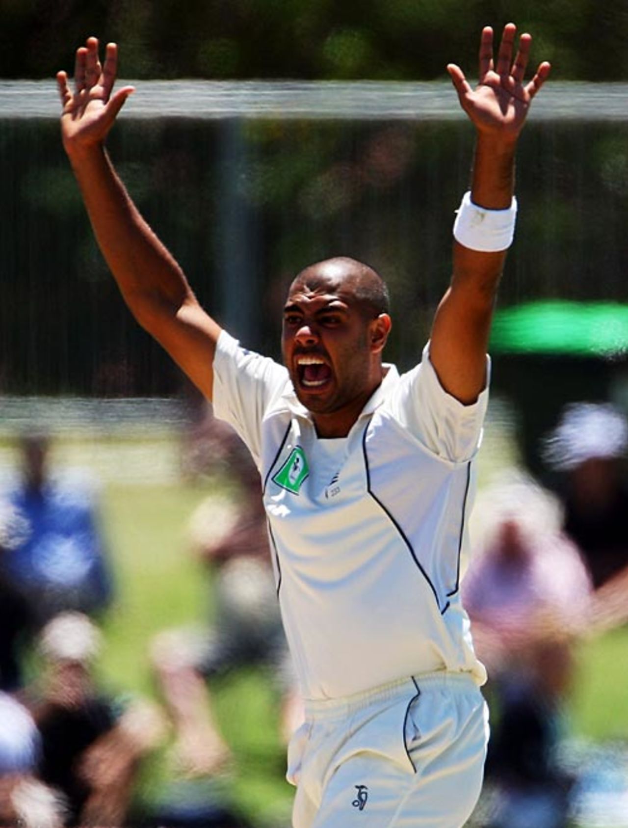 Jeetan Patel appeals unsuccessfully for an lbw against Brendan Nash, New Zealand v West Indies, 2nd Test, Napier, 4th day, December 22, 2008