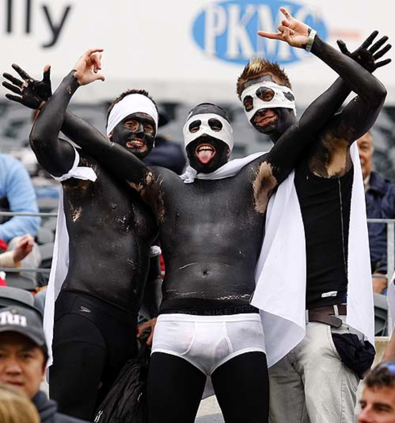 Fans paint themselves in black, New Zealand v West Indies, 2nd ODI, Christchurch, January 3, 2009
