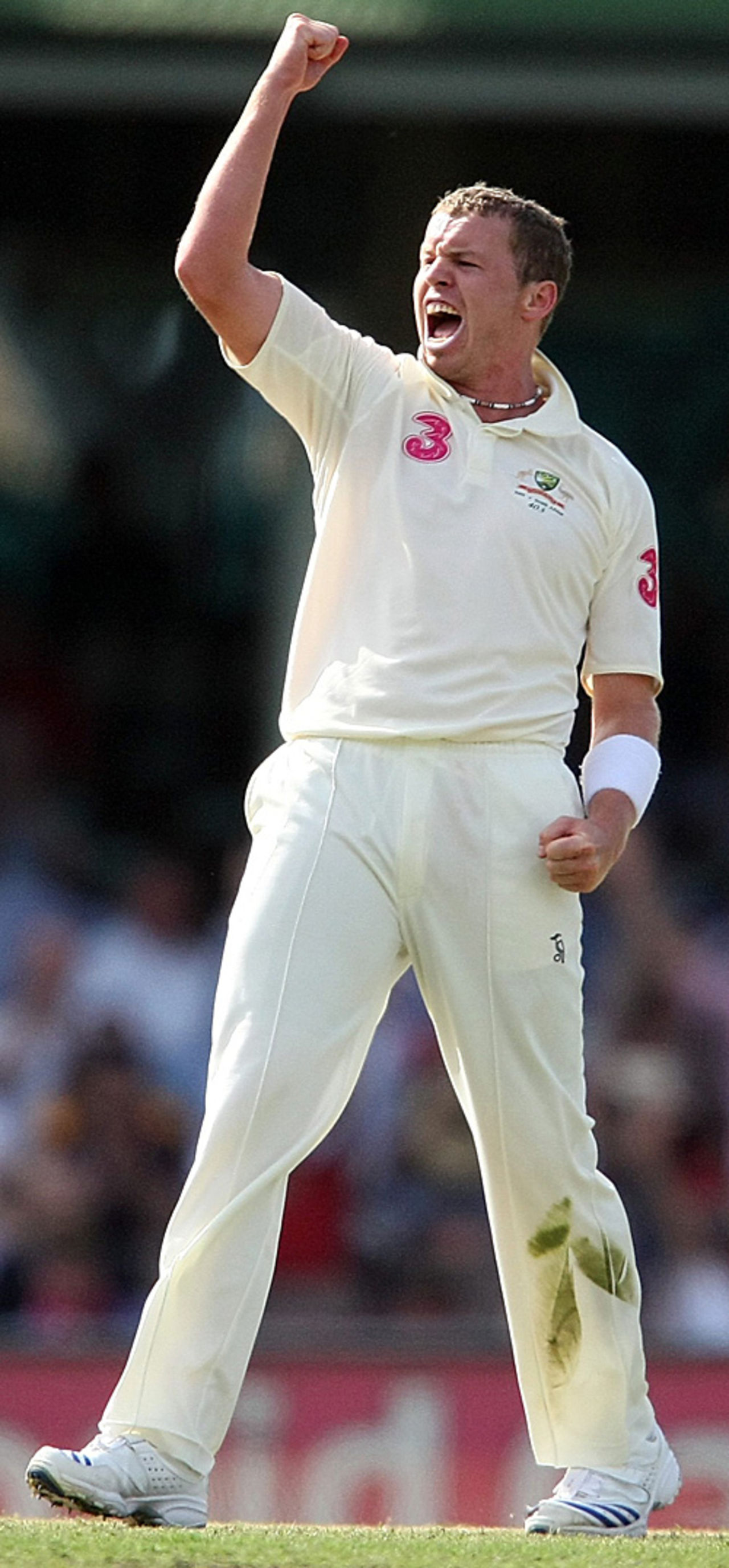 Peter Siddle celebrates another wicket on his way to five, Australia v South Africa, 3rd Test, 3rd day, Sydney, January 5, 2009