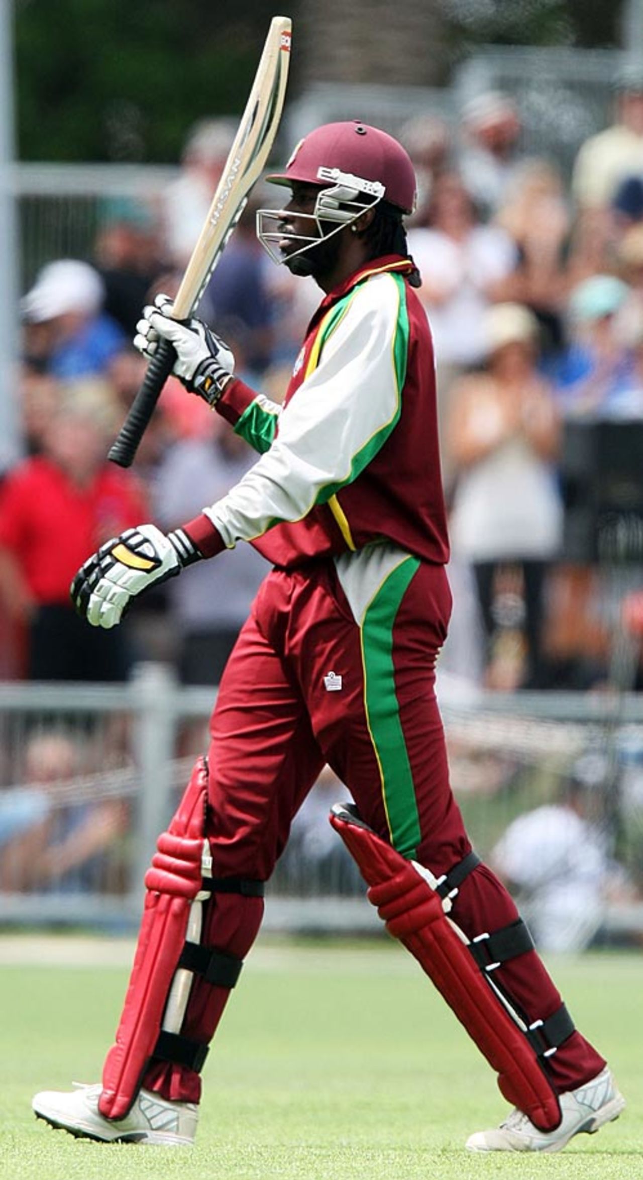 Chris Gayle brings up his fifty, New Zealand v West Indies, 5th ODI, Napier, January 13, 2009