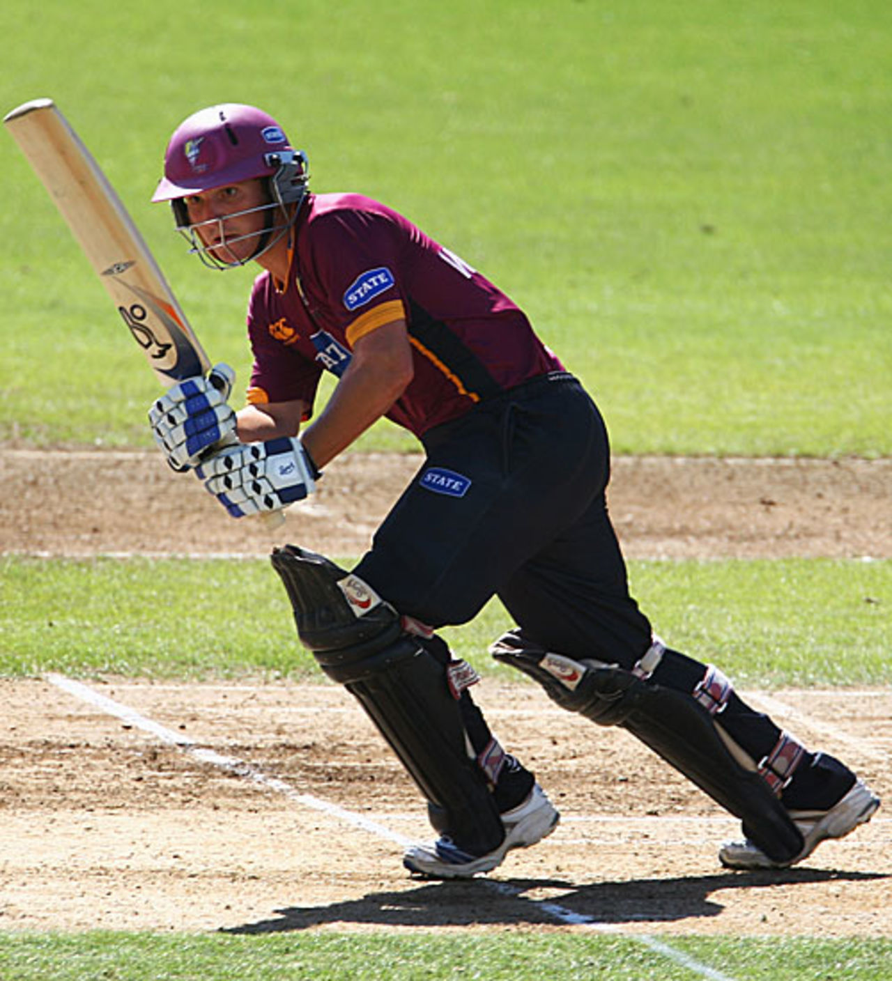 BJ Watling remained unbeaten on 113, Auckland v Northern Districts, State Shield, Eden Park Outer Oval, January 21, 2009