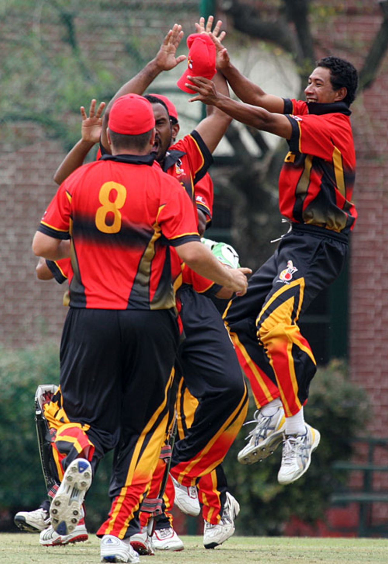 Papua New Guinea celebrate a wicket, Papua New Guinea v Uganda, World Cricket League, Buenos Aires, January 27, 2009