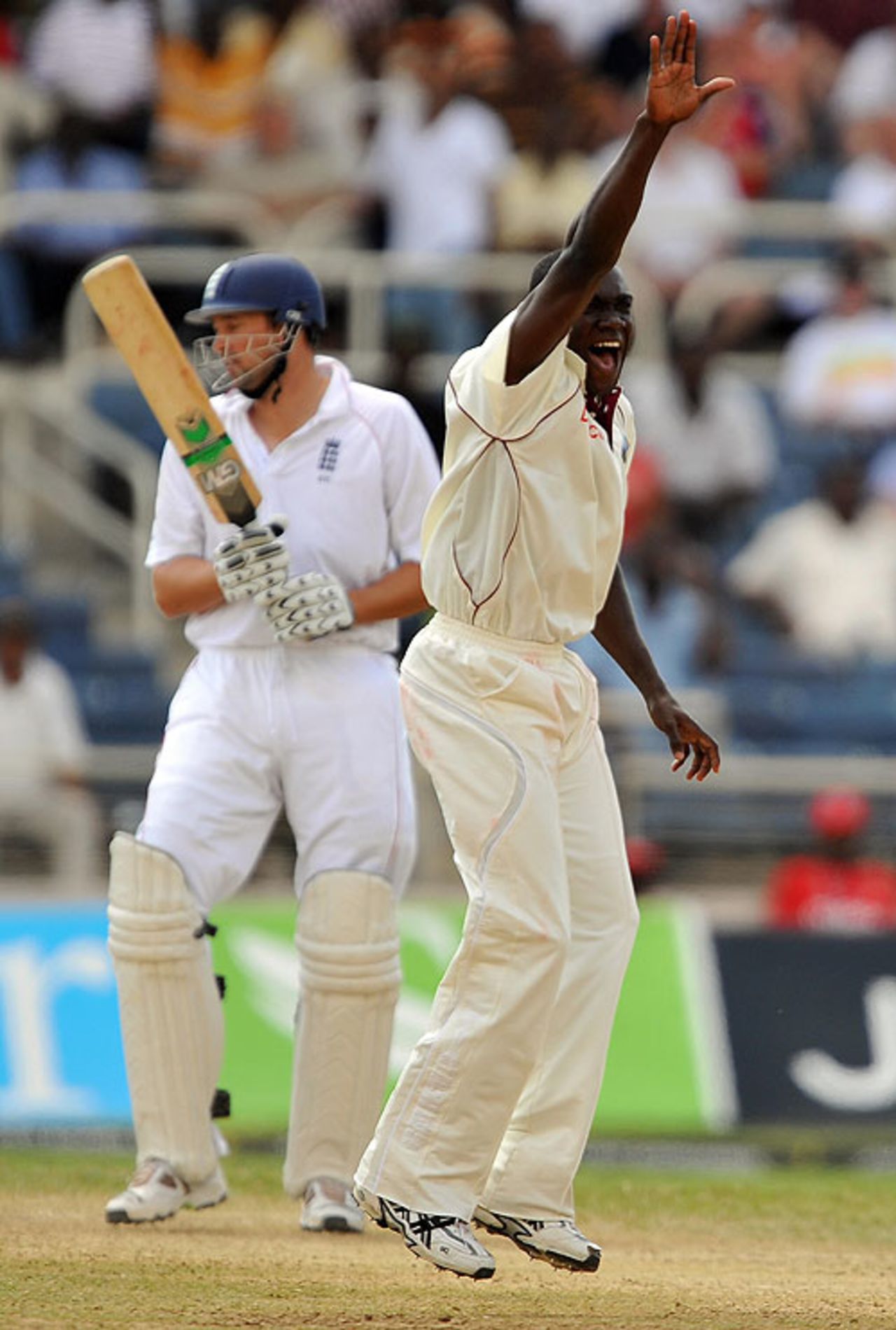 Jerome Taylor traps Steve Harmison lbw, West Indies v England, 1st Test, Kingston, 2nd day, February 5, 2009
