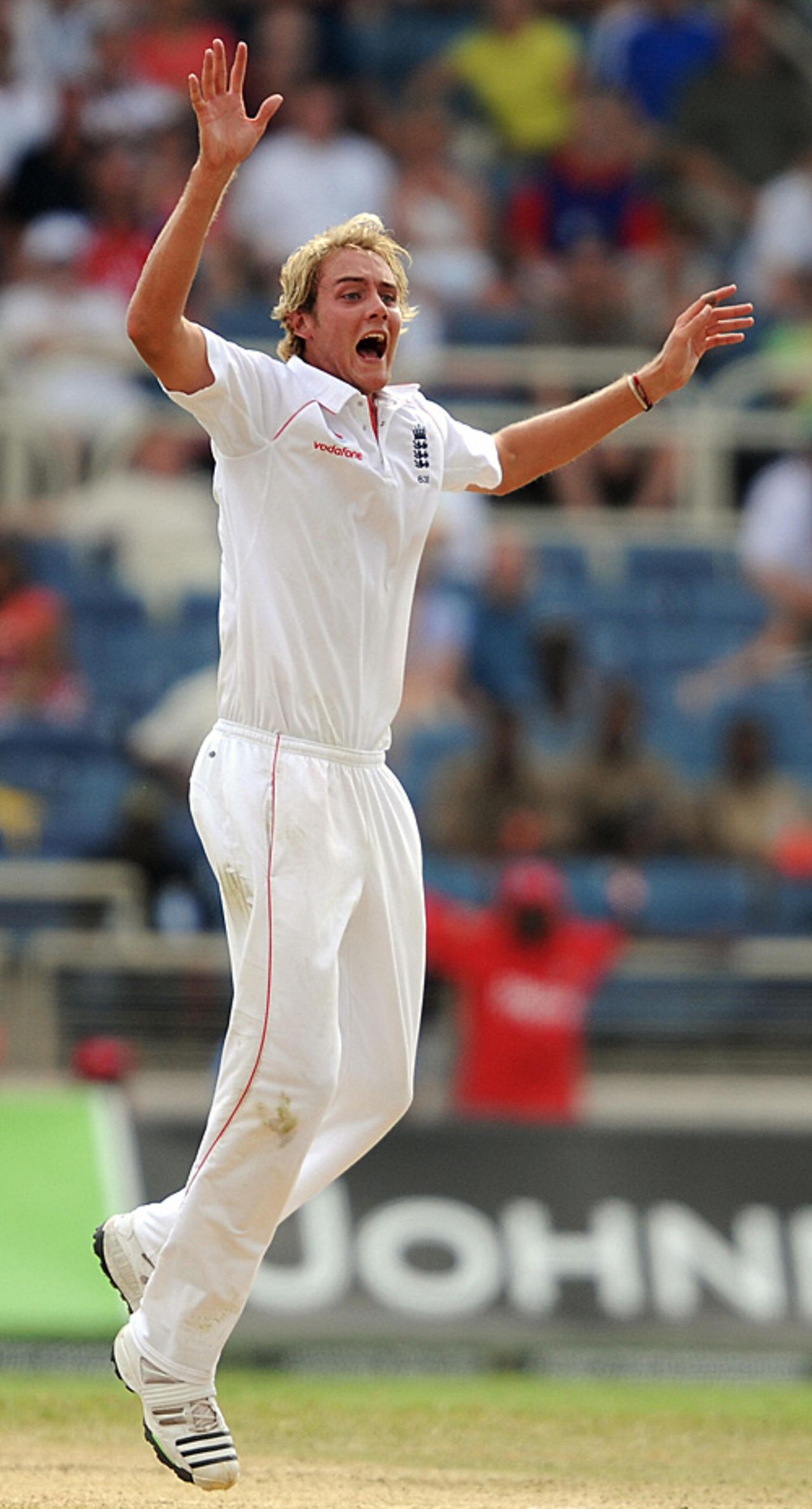 Stuart Broad yelps half an appeal on a day in which he otherwise struggled with bat and ball, West Indies v England, 1st Test, Kingston, 2nd day, February 5, 2009