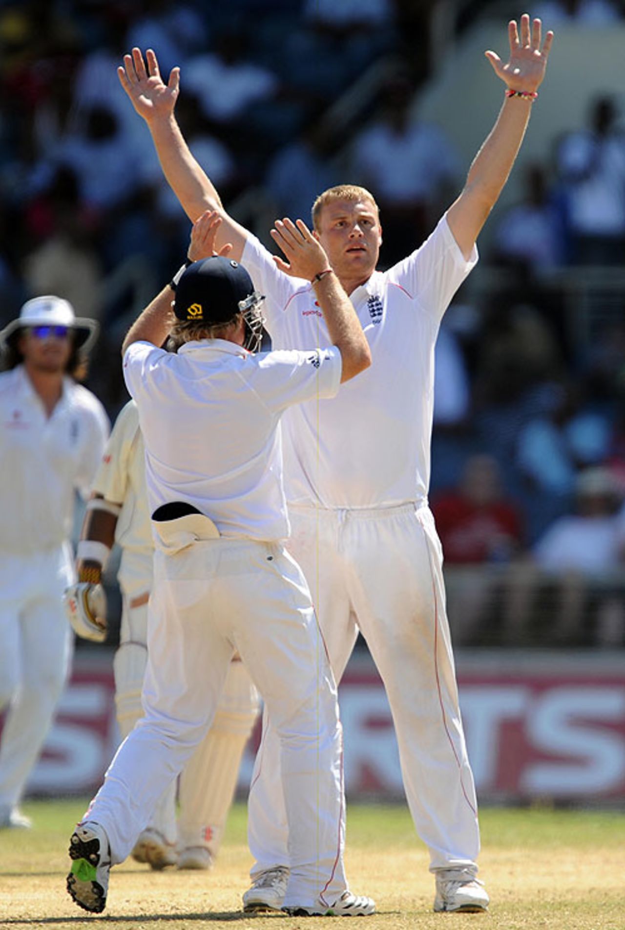 Andrew Flintoff celebrates the dismissal of Ramnaresh Sarwan, West Indies v England, 1st Test, Kingston, February 6, 2009