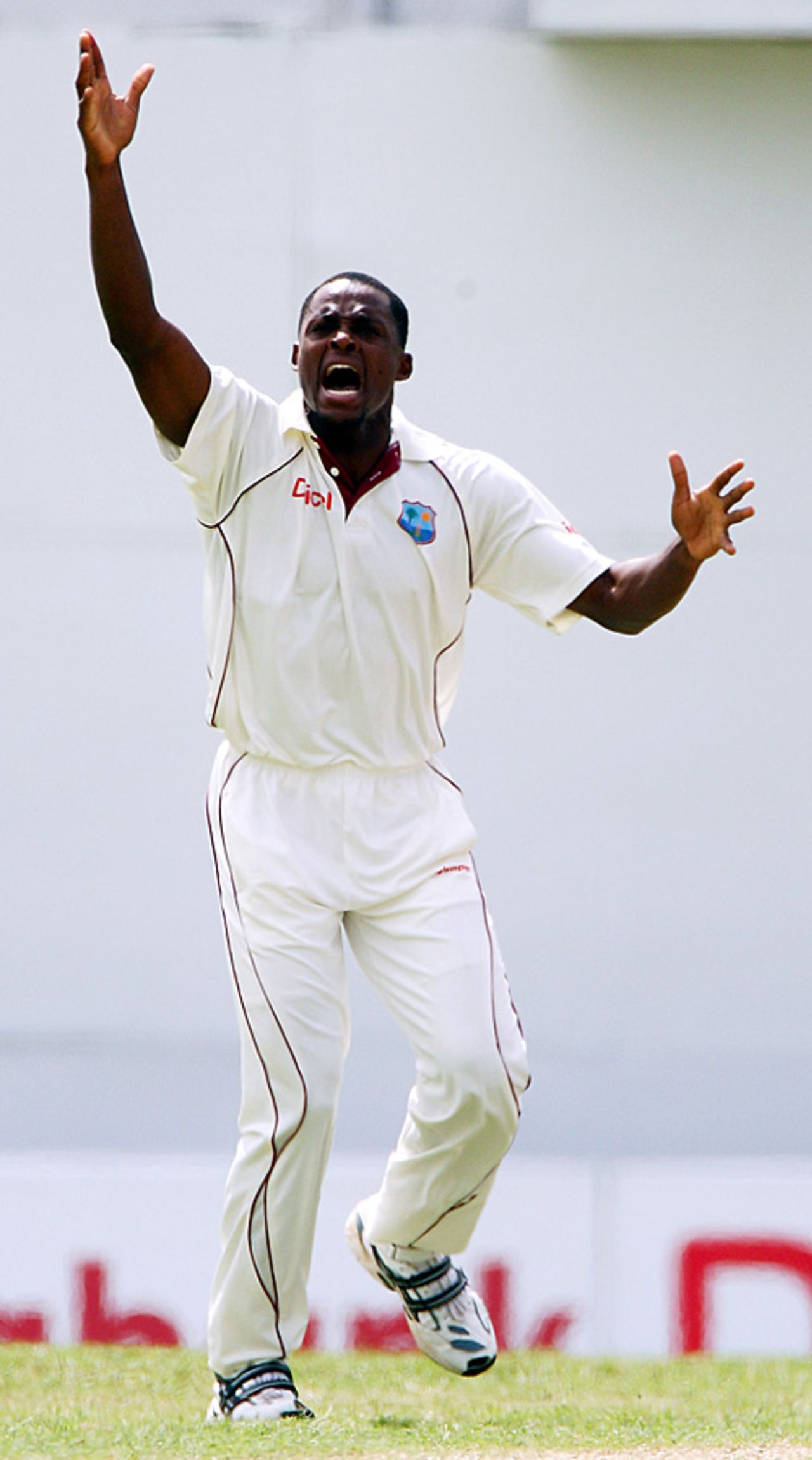Daren Powell implores the umpire to raise his finger, West Indies v England, 3rd Test, Antigua, February 15, 2009