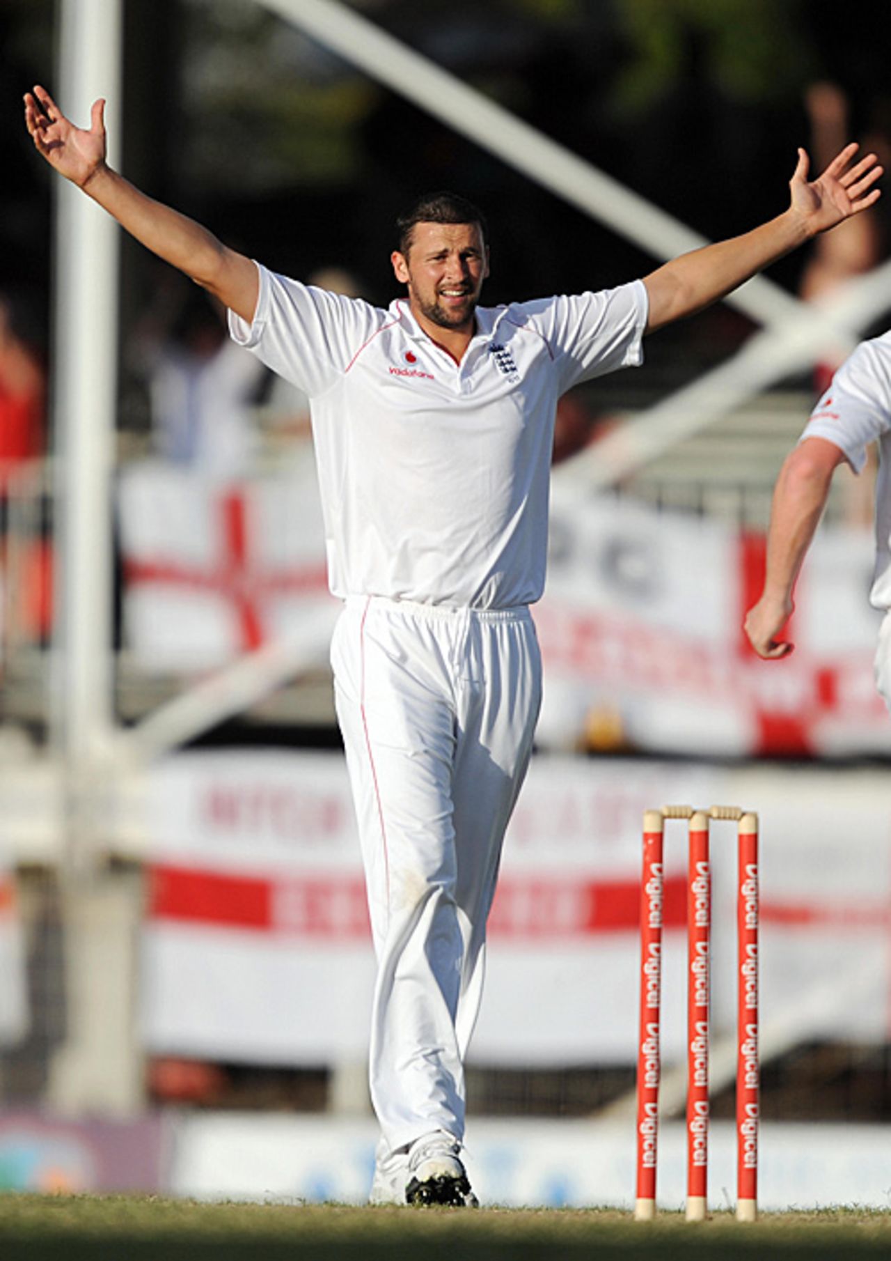 Steve Harmison, arms outstretched, celebrates the early wicket of Chris Gayle, West Indies v England, 3rd Test, Antigua, February 16, 2009