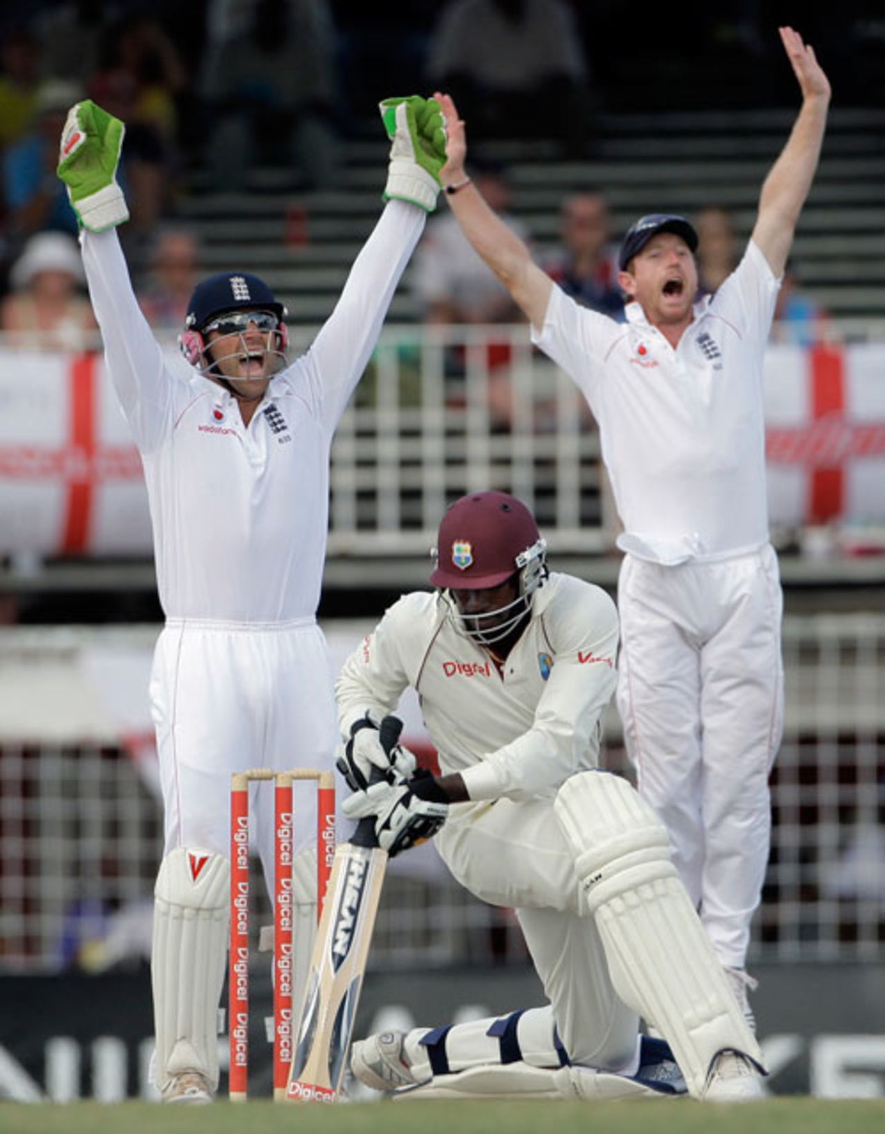 Matt Prior and Paul Collingwood successfully appeal for lbw against Chris Gayle, West Indies v England, 3rd Test, Antigua, 4th day, February 18, 2009