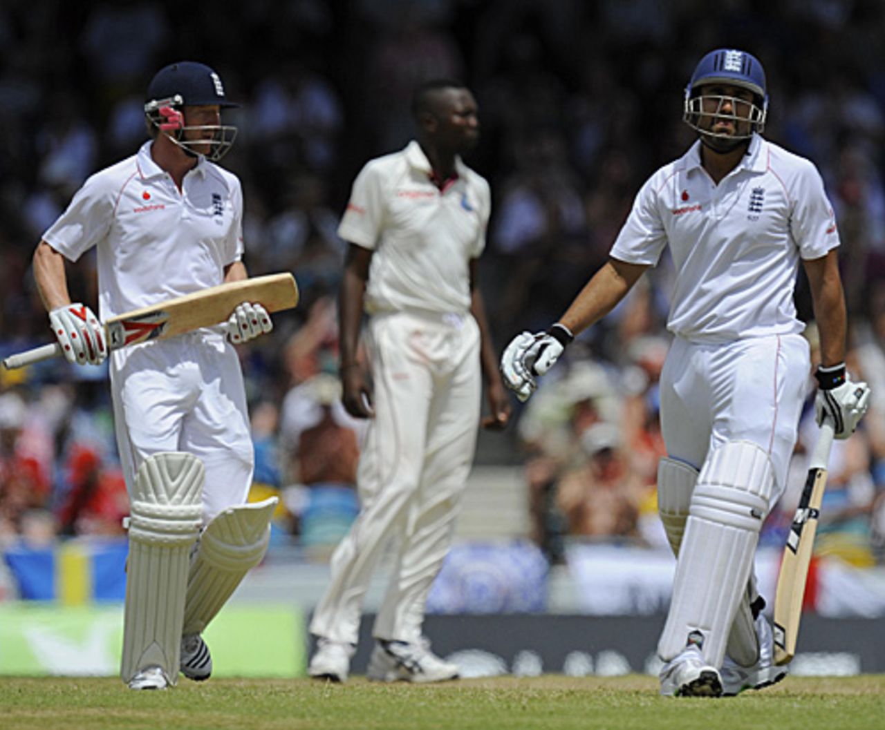 Paul Collingwood and Ravi Bopara during their hundred partnership, West Indies v England, Barbados, 4th Test, February 27, 2009