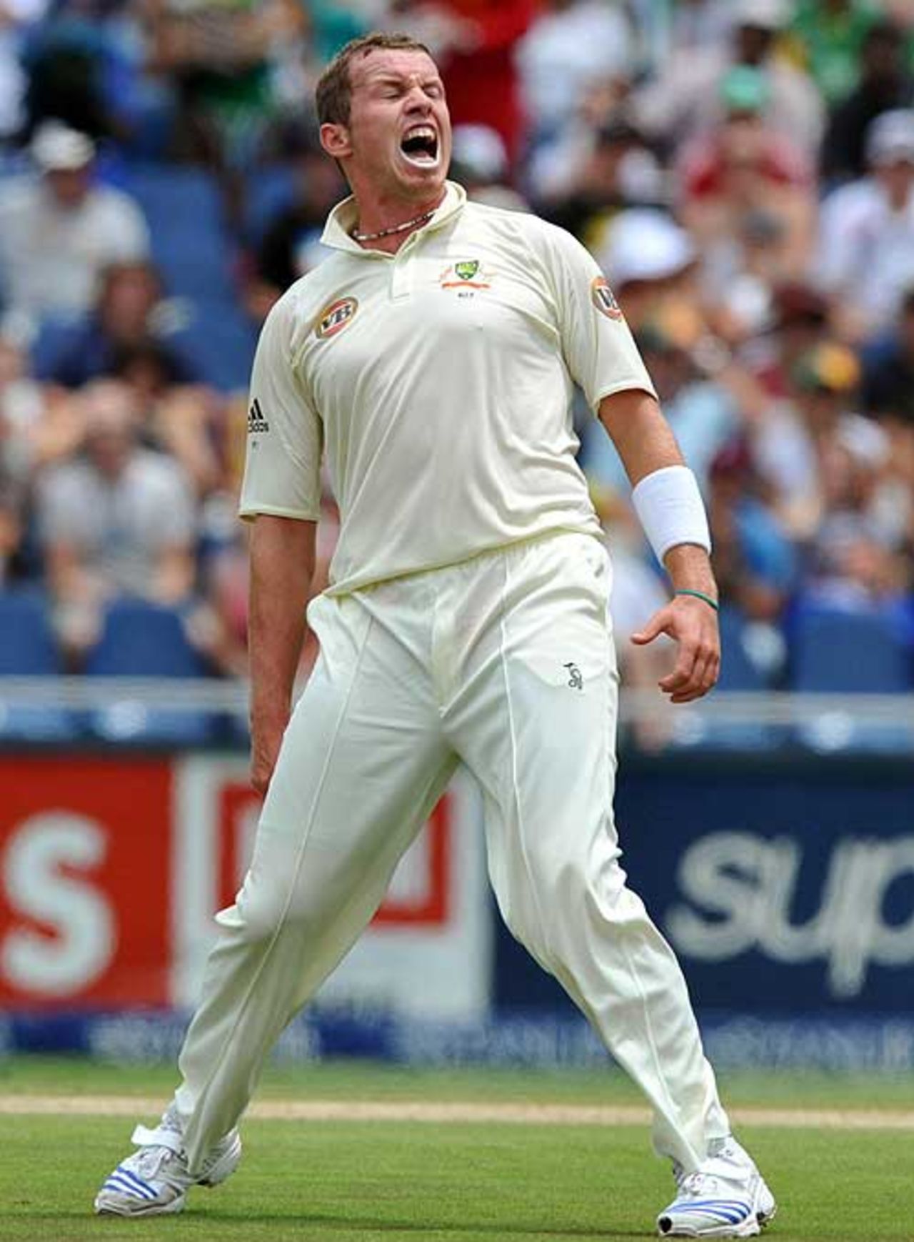 Peter Siddle yells in celebration, South Africa v Australia, 1st Test, Johannesburg, 3rd day, February 28, 2009
