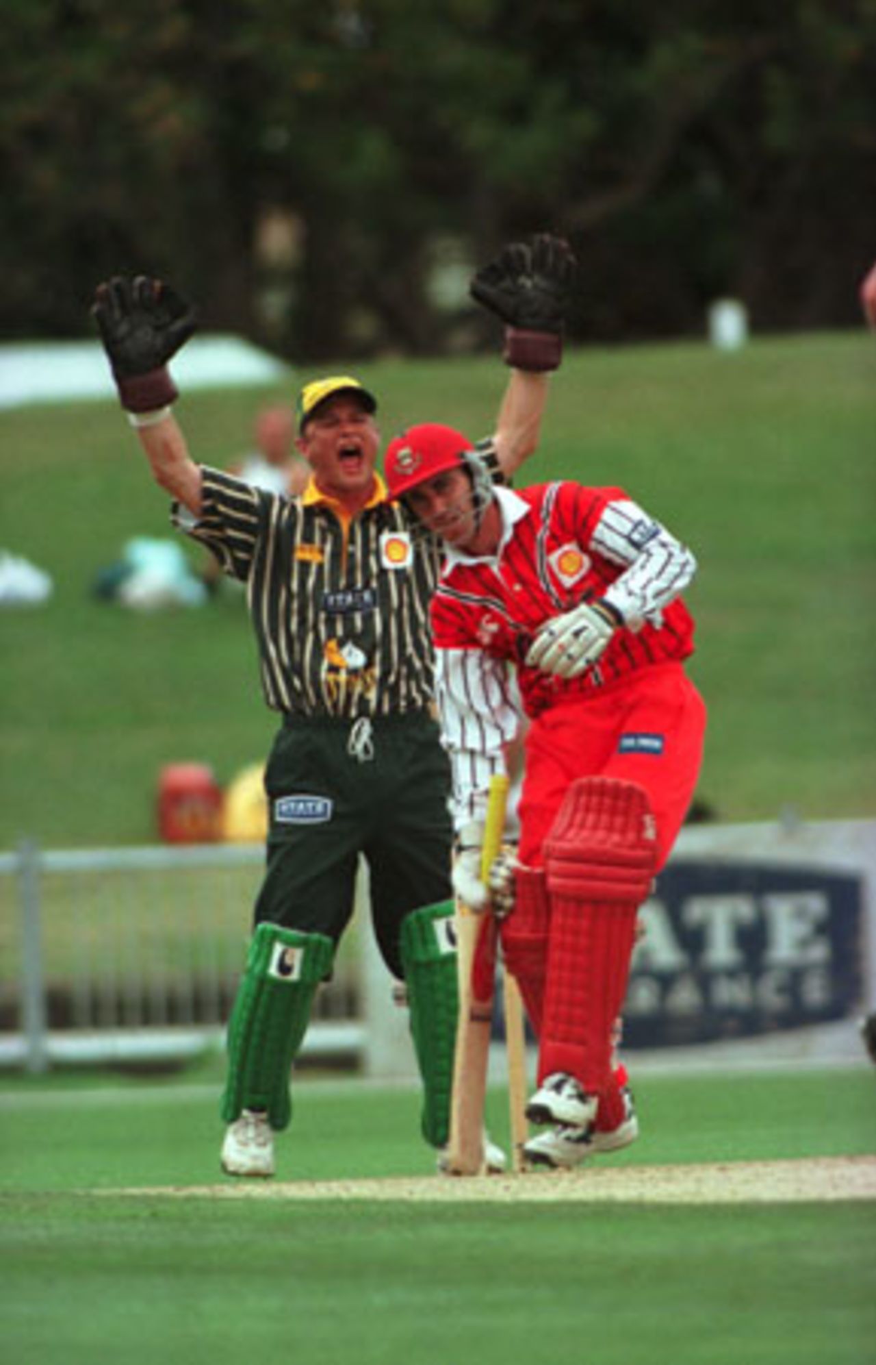 Central Districts wicket-keeper Bevan Griggs successfully appeals as Canterbury batsman Gary Stead is trapped lbw by off spinner Glen Sulzberger for 12. 1st Shell Cup Final: Central Districts v Canterbury at McLean Park, Napier, 24 January 2001.