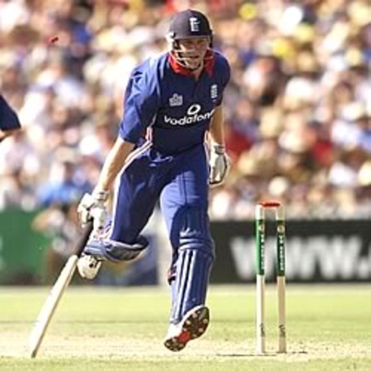 ADELAIDE - JANUARY 19: Matthew Hoggard of England is run out during the One Day International match between Australia and England at the Adelaide Oval, Adelaide, Australia on January 19, 2003.