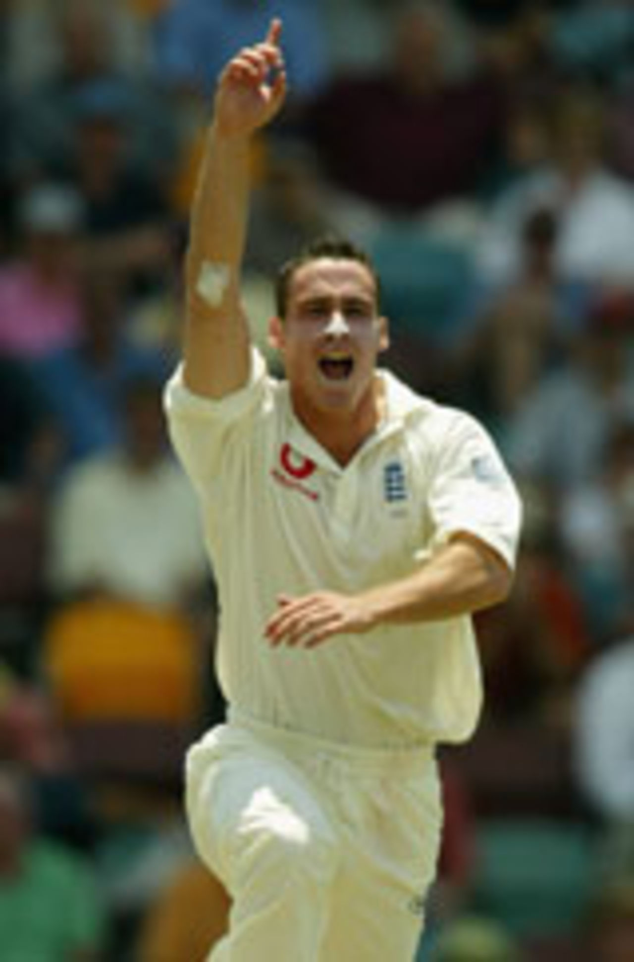 Simon Jones celebrates, Australia v England, 1st Test, Brisbane, November 7, 2002