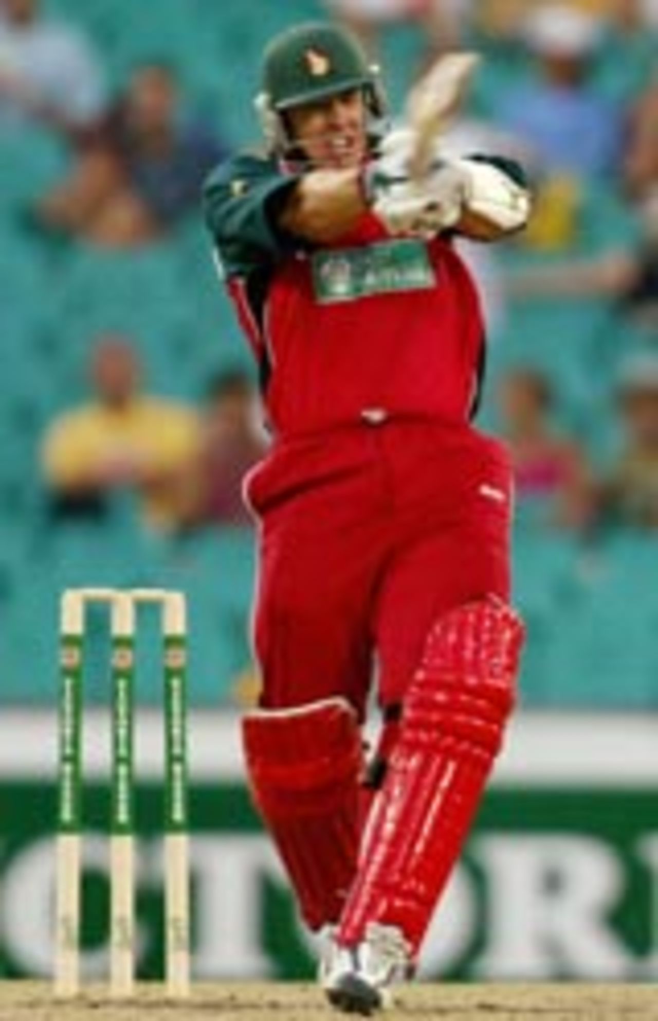 Heath Streak plays the pull, Australia v Zimbabwe, VB Series, Sydney, January 11, 2004