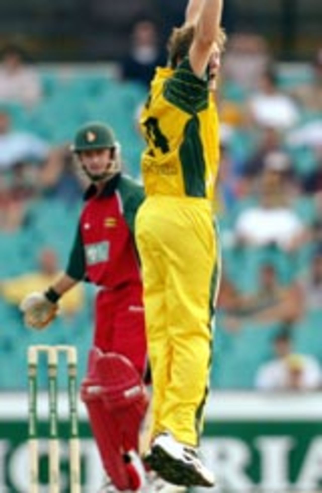 Brad Williams goes up in appeal after trapping Grant Flower in front, Australia v Zimbabwe, VB Series, Sydney, January 11, 2004