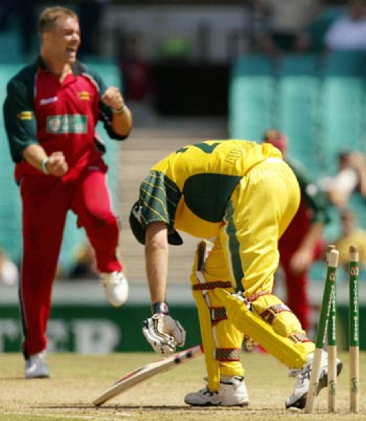 Matthew Hayden bowled by Heath Streak, Australia v Zimbabwe, VB Series, 2nd ODI, Sydney, January 11, 2004