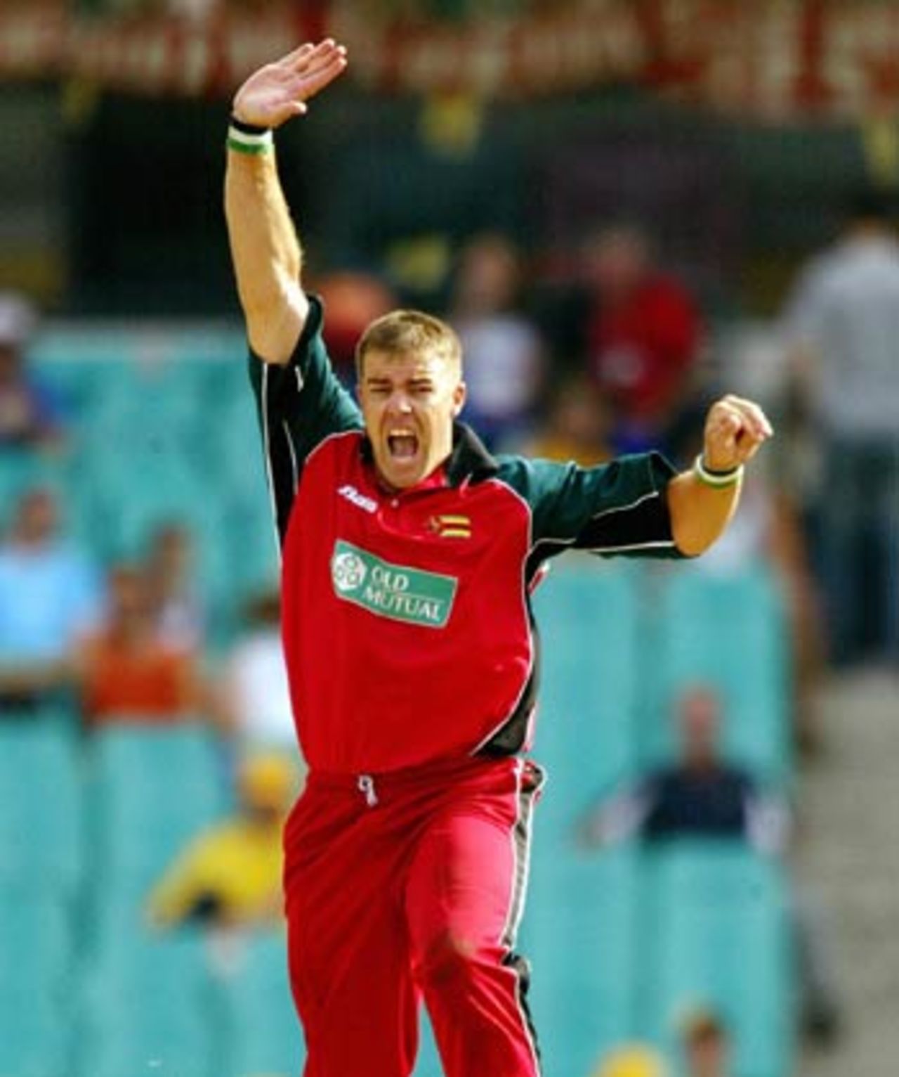 Heath Streak celebrates the wicket of Matthew Hayden, Australia v Zimbabwe, VB Series, 2nd ODI, Sydney, January 11, 2004
