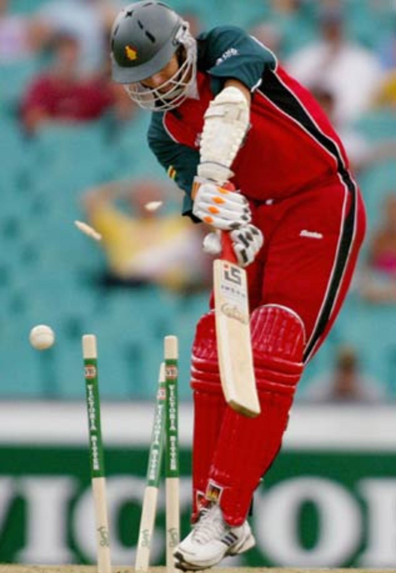 Mark Vermeulen bowled by Brad Williams, Australia v Zimbabwe, VB Series, 2nd ODI, Sydney, January 11, 2004