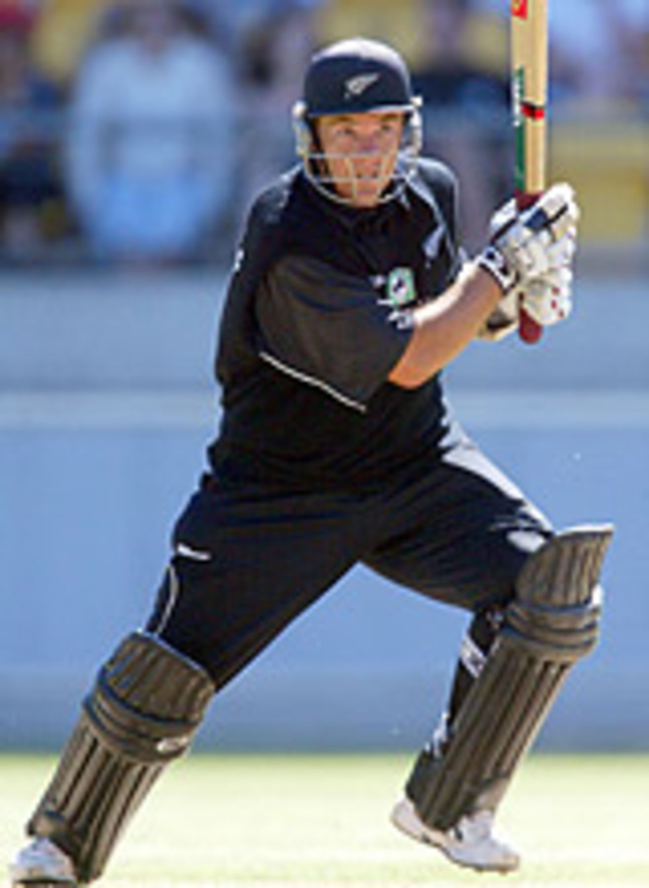 Craig McMillan plays a stroke, New Zealand v Pakistan, 5th ODI, Wellington, January 17, 2004