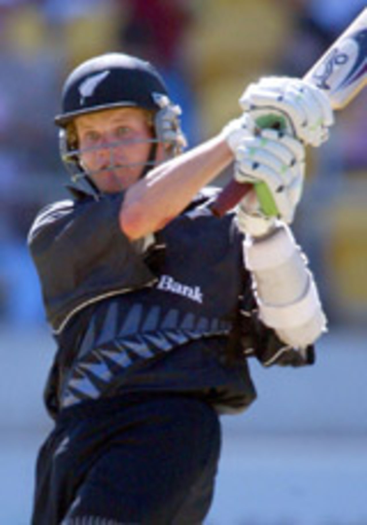 Hamish Marshall plays a stroke, New Zealand v Pakistan, 5th ODI, Wellington, January 17, 2004