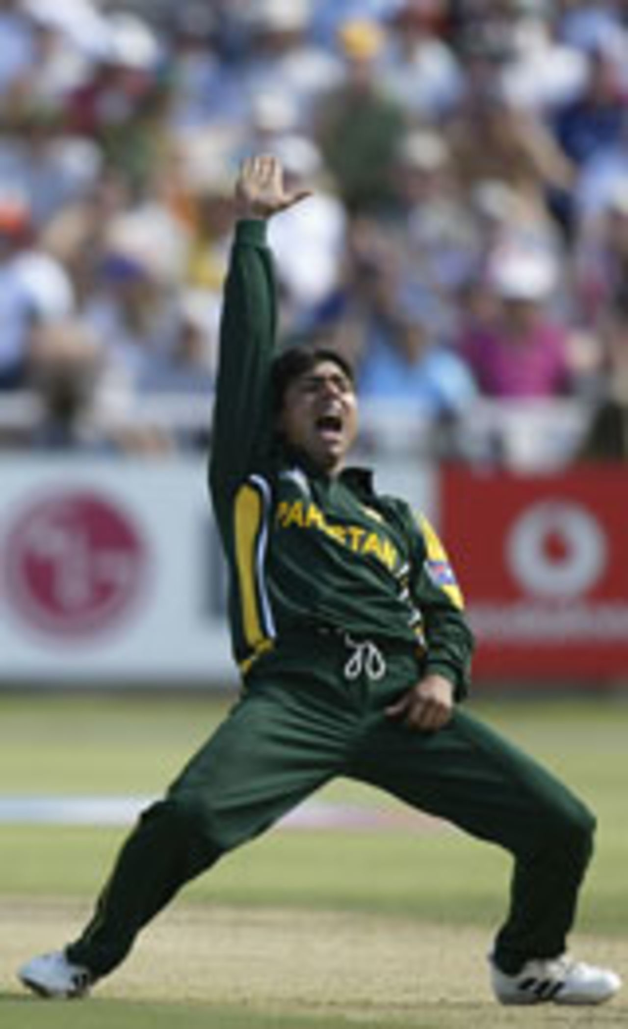 Saqlain Mushtaq appealing, Pakistan v England, World Cup, Cape Town, February 22, 2003