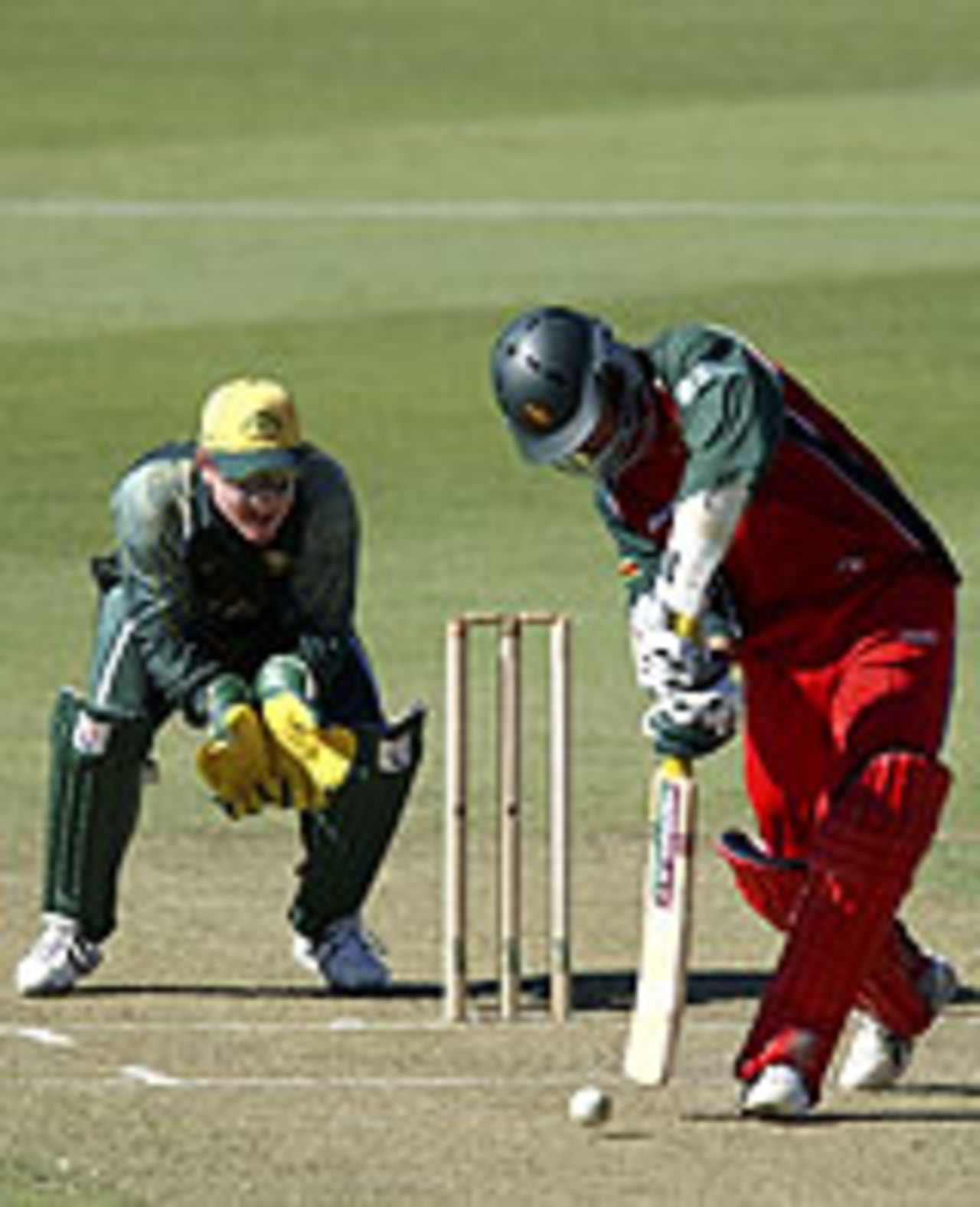 Brad Haddin in action against Zimbabwe, Australia A v Zimbabwe, Perth, January 1 2004