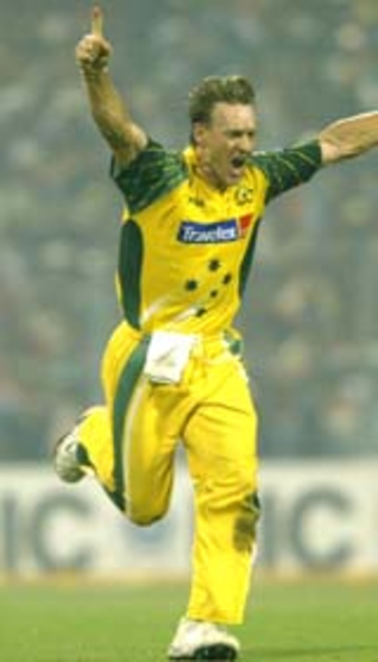 Andy Bichel celebrates a wicket, November 18, 2003