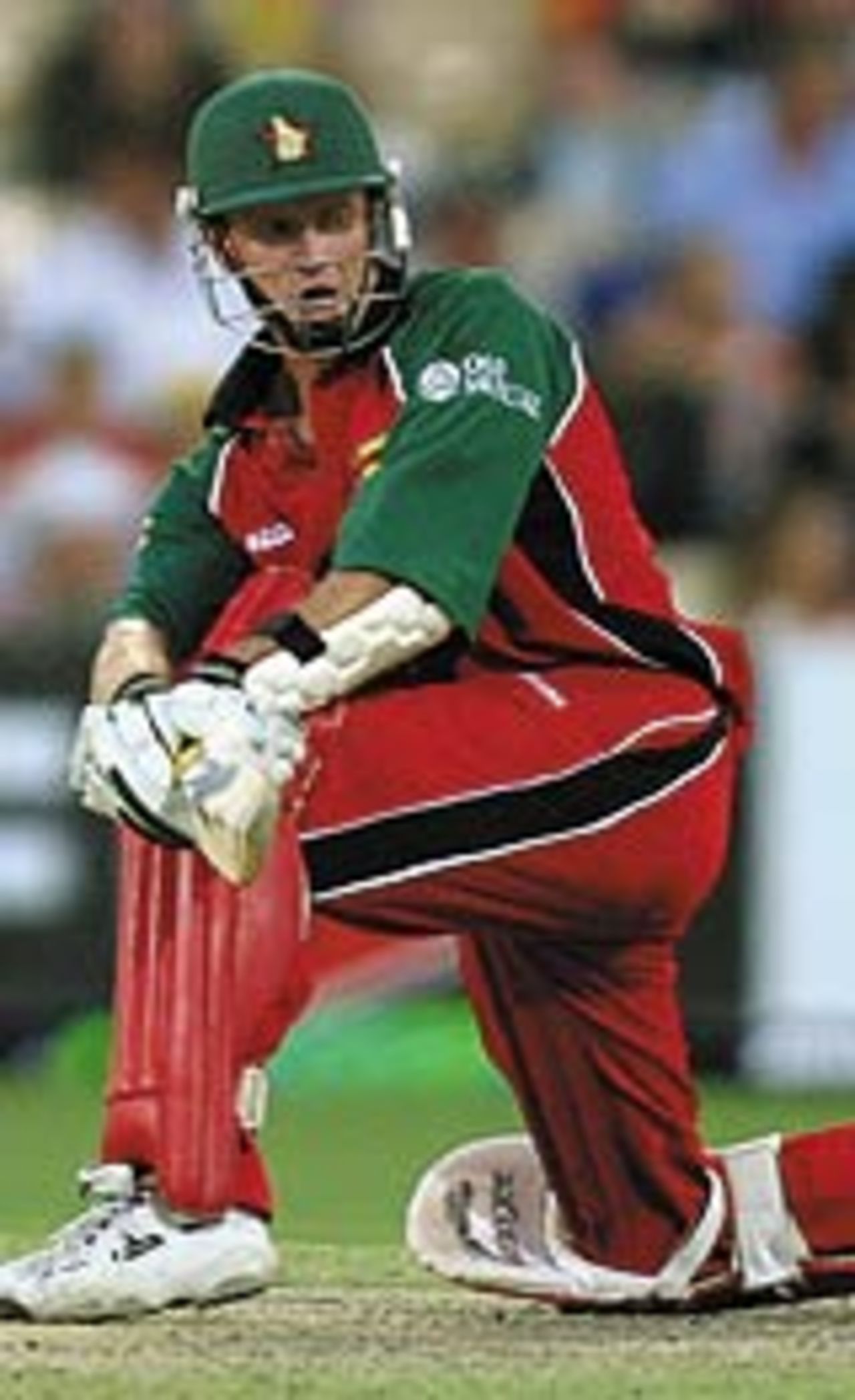 Grant Flower sweeps during his valuable knock, Australia v Zimbabwe, VB Series, 9th ODI, Adelaide, January 26, 2004