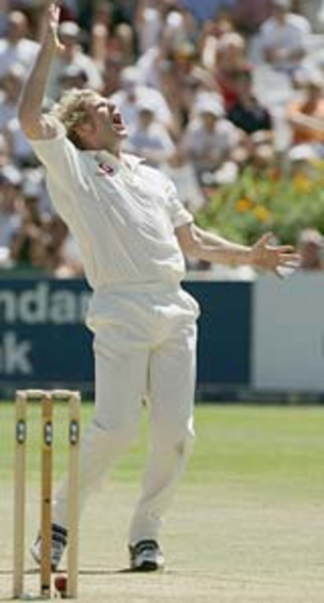Matthew Hoggard removes Hashim Amla, South Africa v England, 3rd Test, Cape Town, 2nd day, January 3, 2005