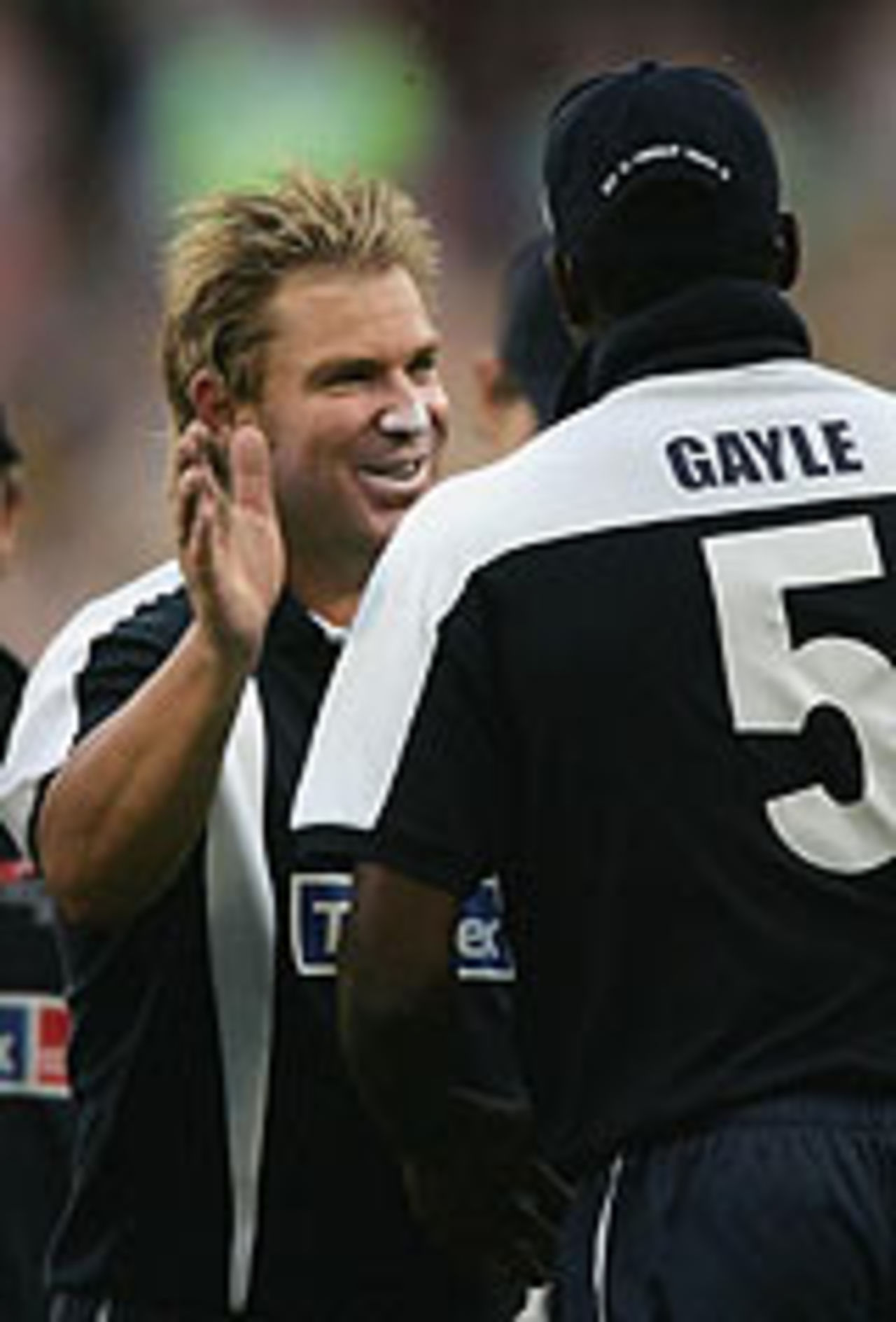 Shane Warne pats Chris Gayle after dismissing Virender Sehwag, ICC XI v Asian XI, Melbourne, January 10, 2005