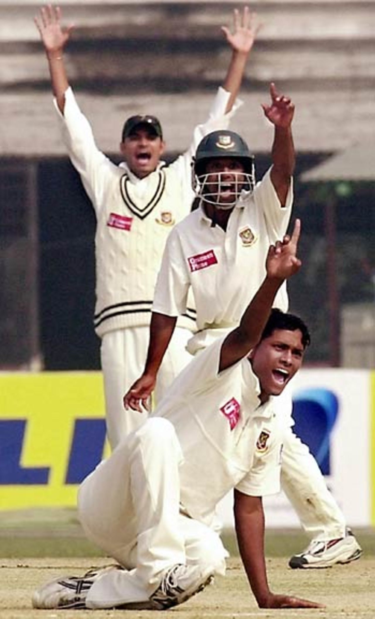 Enamul Haque successfully appeals for leg-before against Elton Chigumbura, Bangladesh v Zimbabwe, 2nd Test, Dhaka, January 17, 2005