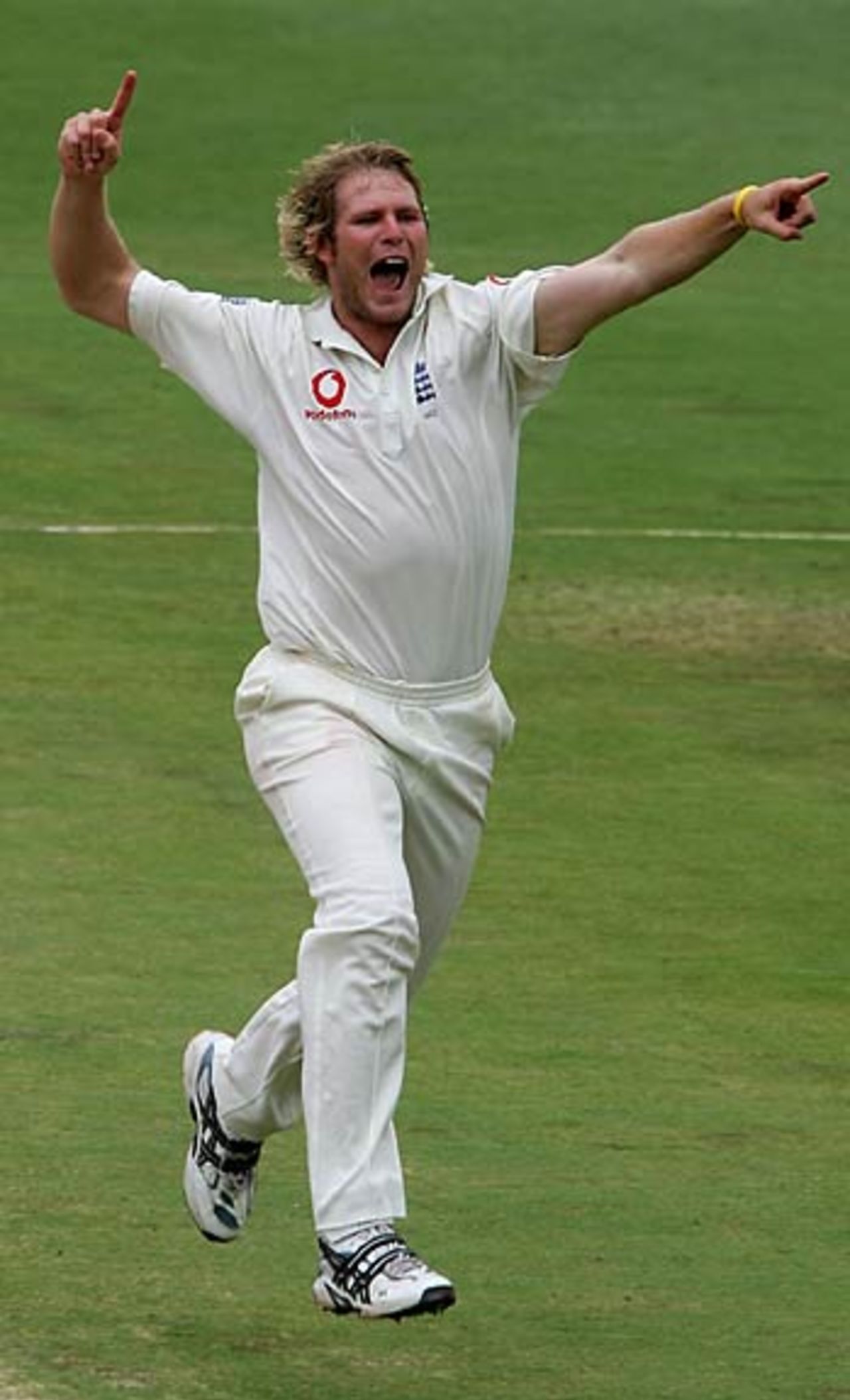Matthew Hoggard roars his delight, South Africa v England, 4th Test, The Wanderers, January 17, 2005