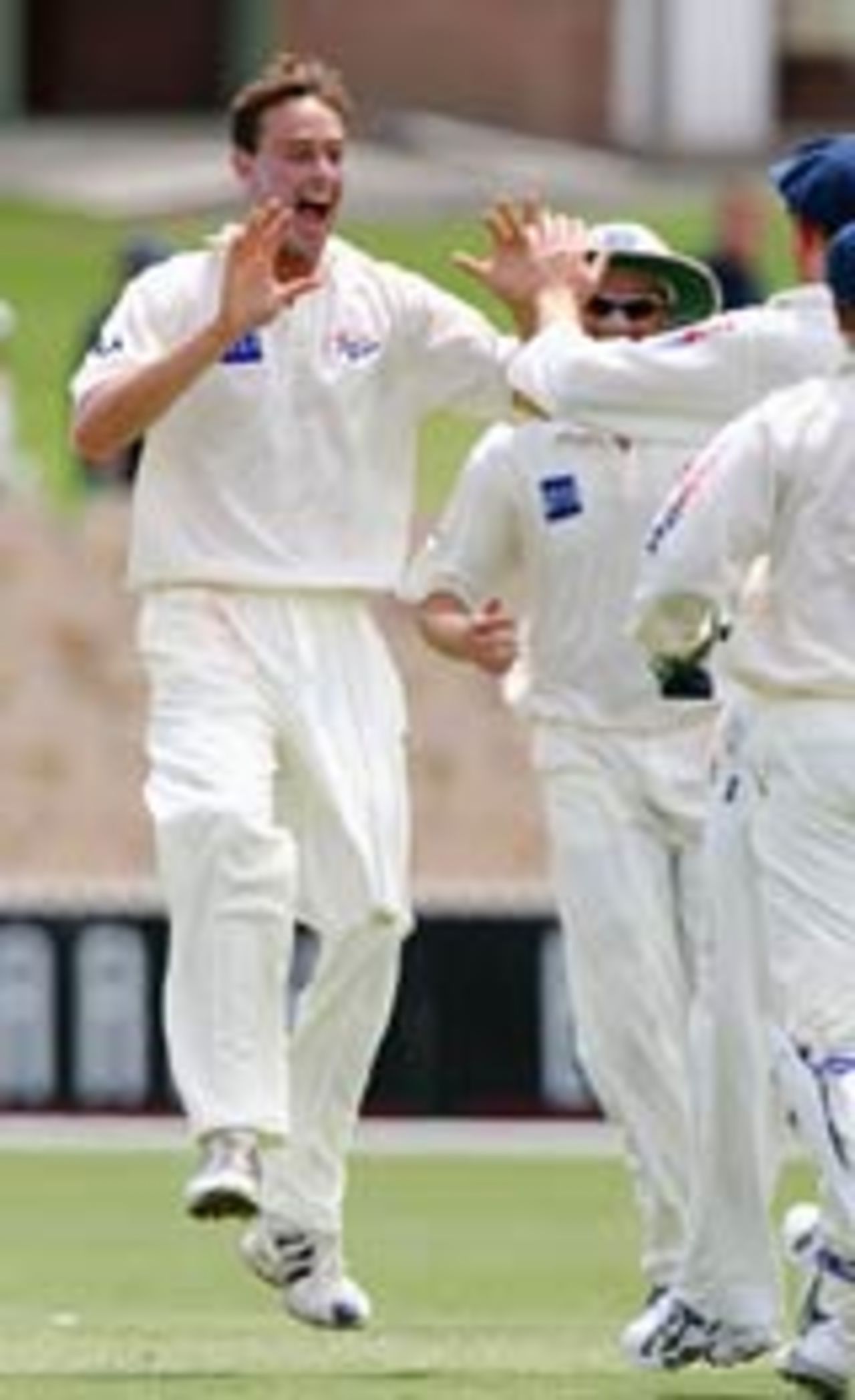 Matthew Nicholson celebrates a wicket, NSW v SA, Pura Cup, Adelaide, January 19, 2005