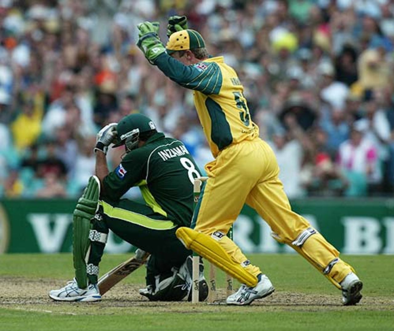 Inzamam-ul-Haq curses himself after holing out, Australia v Pakistan, VB Series, Sydney, January 23, 2005