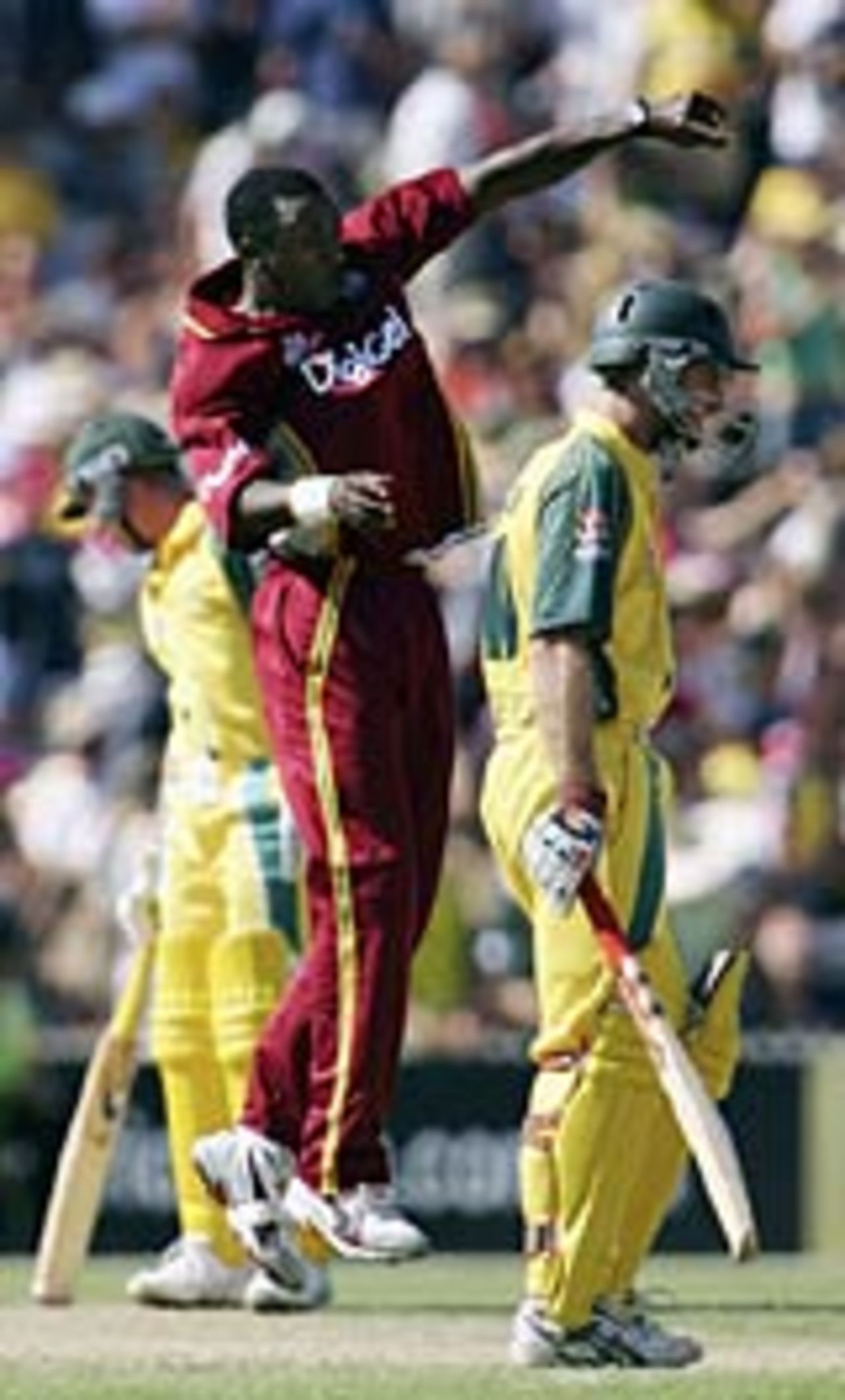 Pedro Collins celebrates after taking the wicket of Simon Katich, Australia v West Indies, VB Series, Adelaide, January 26, 2005