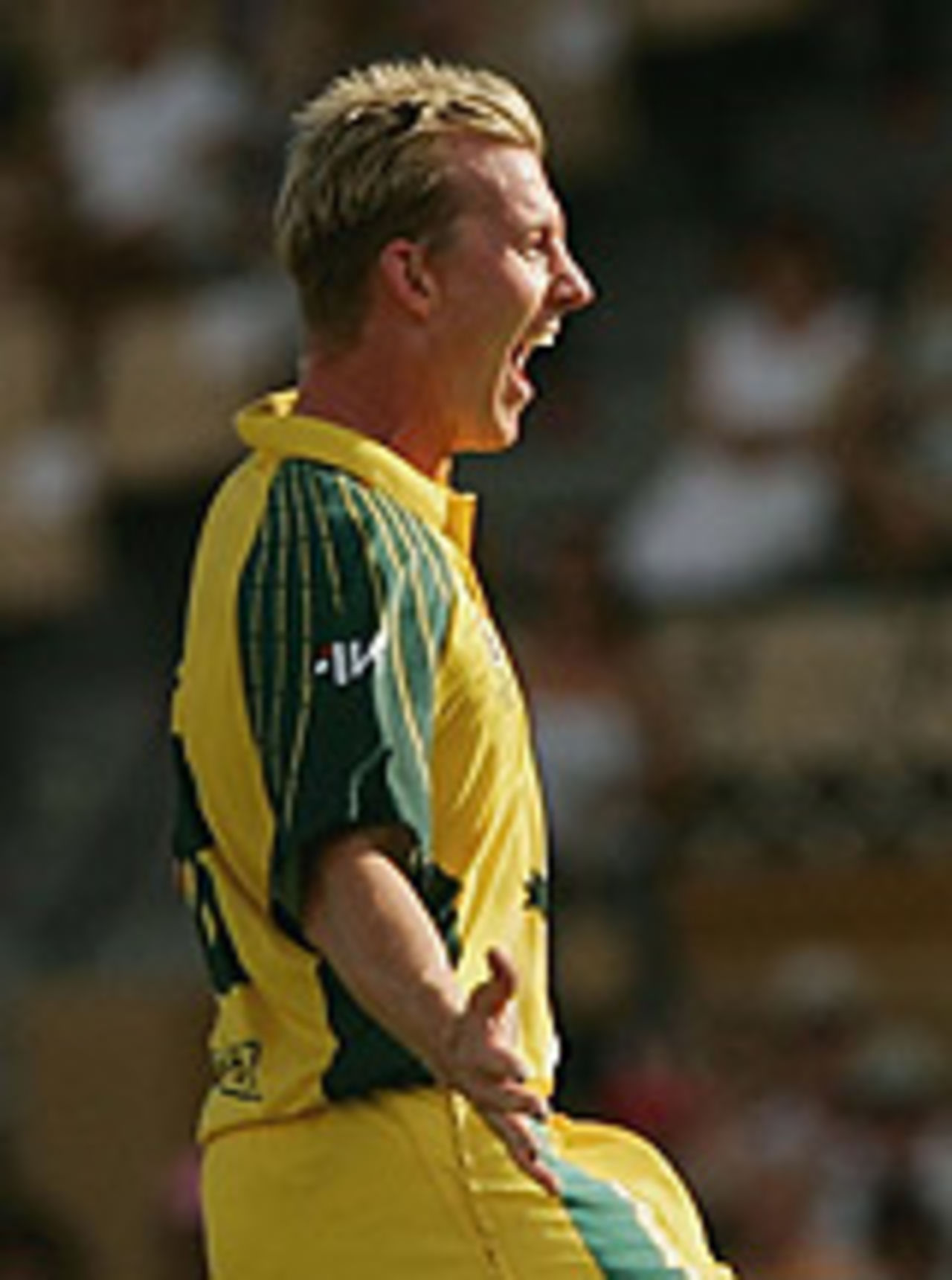 Brett Lee celebrates another wicket, Australia v West Indies, VB Series, Adelaide, January 26, 2005