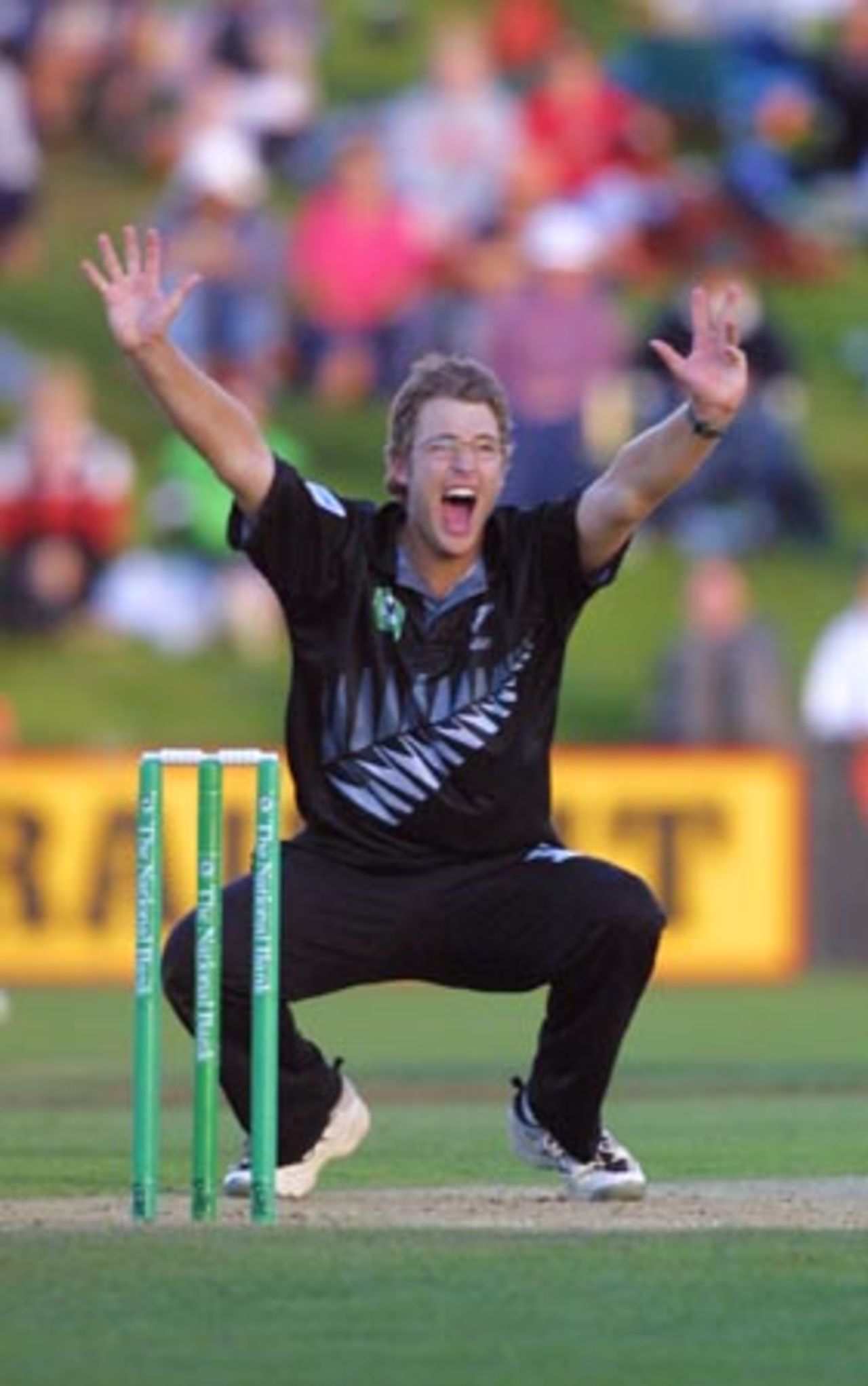 New Zealand left arm orthodox spinner Daniel Vettori appeals unsuccessfully to umpire Steve Dunne for a leg before wicket decision. 4th One-Day International: New Zealand v Sri Lanka at WestpacTrust Park, Hamilton, 8 February 2001.