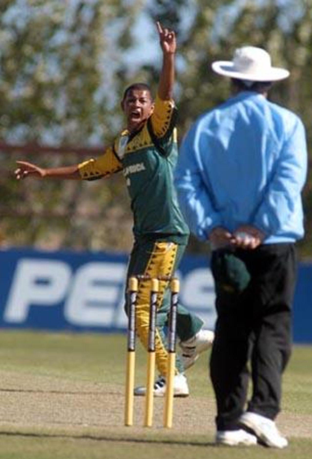 South Africa Under-19 bowler Brent Kopps unsuccessfully appeals for lbw to umpire Tony Hill during his spell of 2-38 from eight overs. 1st ICC Under-19 World Cup Super League Semi Final: India Under-19s v South Africa Under-19s at Bert Sutcliffe Oval, Lincoln, 3 February 2002.