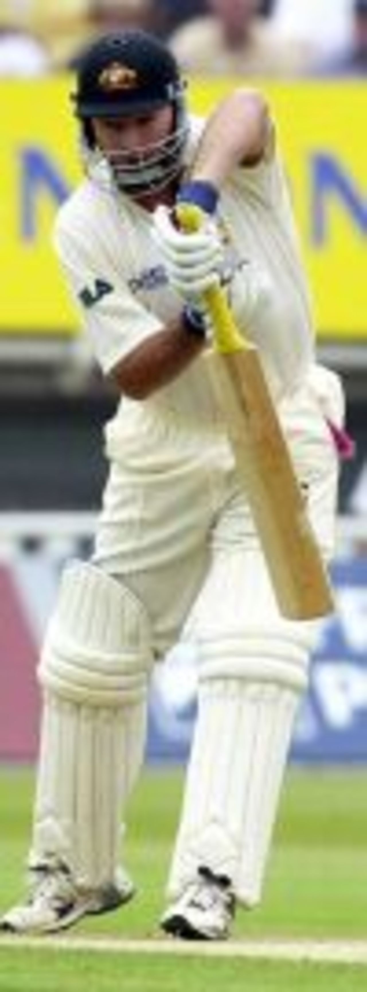 Steve Waugh