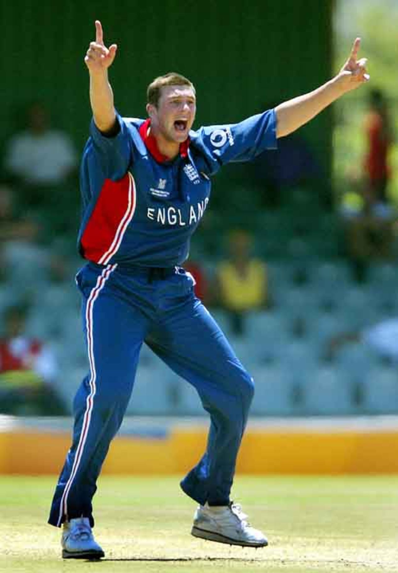 England's Stephen Harmison appeals and gets the wicket of Border Bears Craig Sugden LBW during their World Cup warm up match against Border Bears at Buffalo Park in East London, South Africa, February 6, 2003.