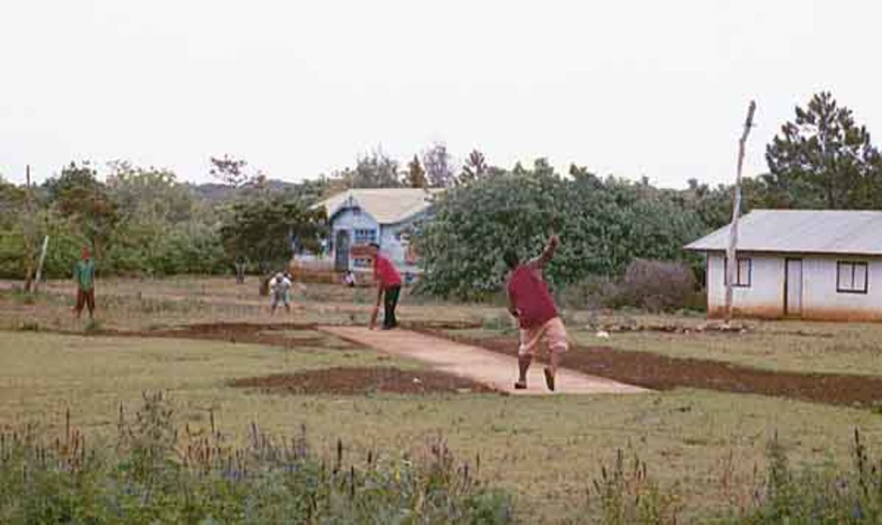 Backyard pitch, 2002