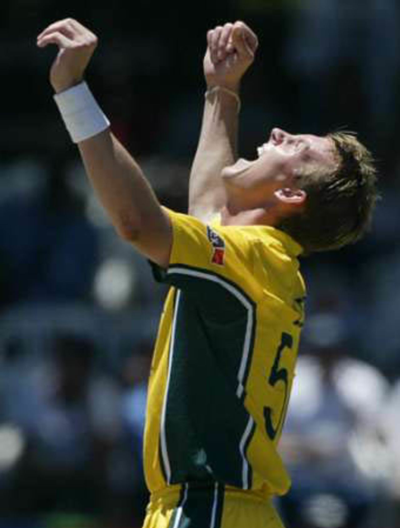 World Cup, 2003 - Zimbabwe v Australia at Bulawayo, 24th February 2003