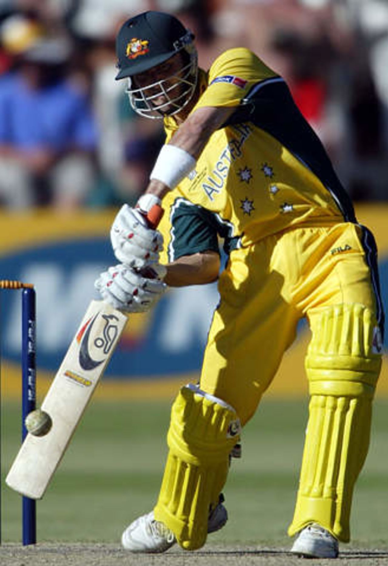 World Cup, 2003 - Zimbabwe v Australia at Bulawayo, 24th February 2003