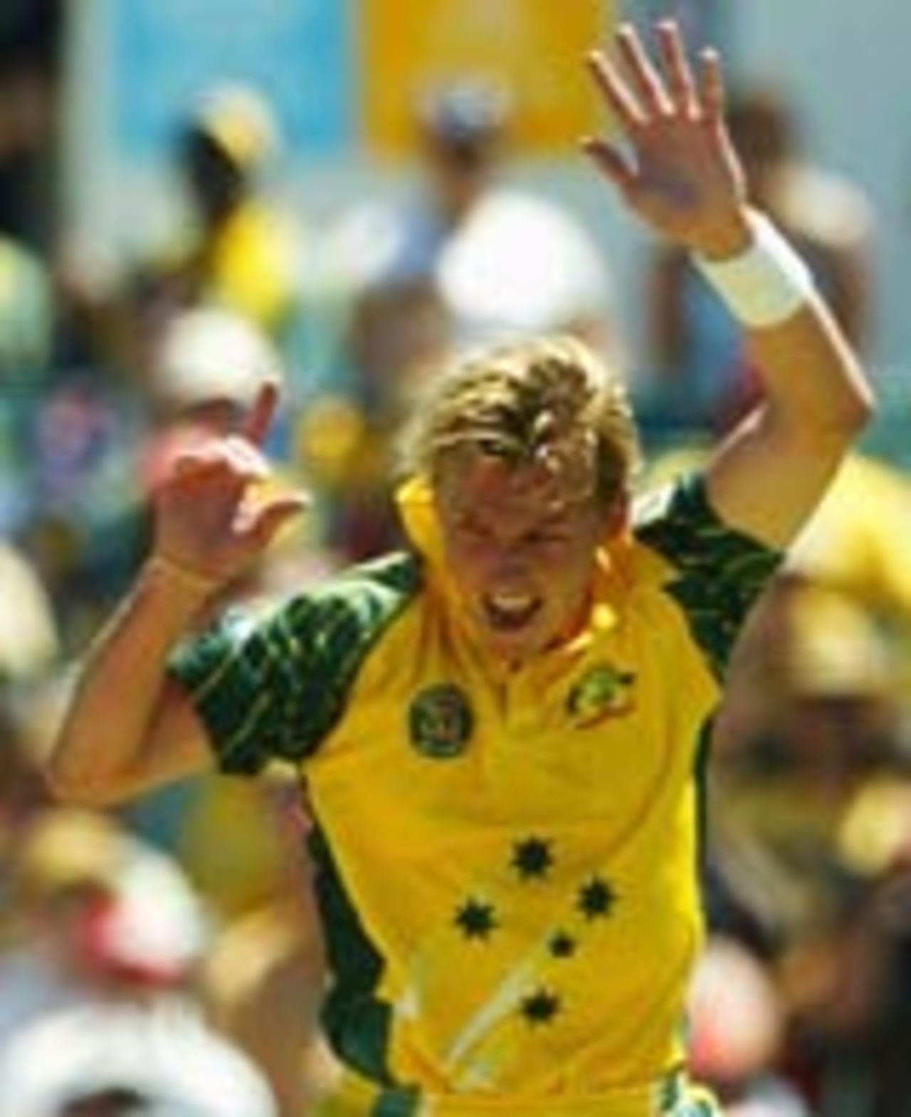 Brett Lee leaps up in joy, Australia v India, 11th match, VB Series, Perth, February 1, 2004
