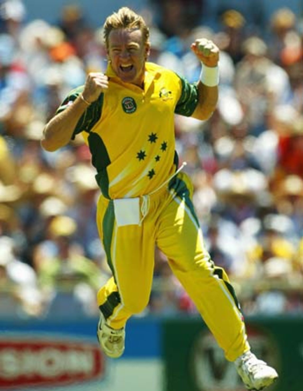 Andy Bichel shows his delight after getting rid of Sourav Ganguly, Australia v India, 11th match, VB Series, Perth, February 1, 2004