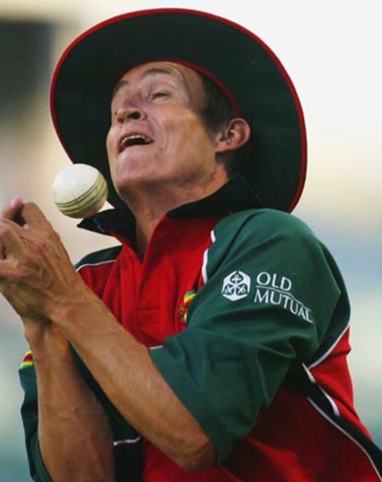 If Zimbabwe's fielding was sharper, they might have had the edge, 12th ODI, VB Series, Perth, February 3rd, 2004