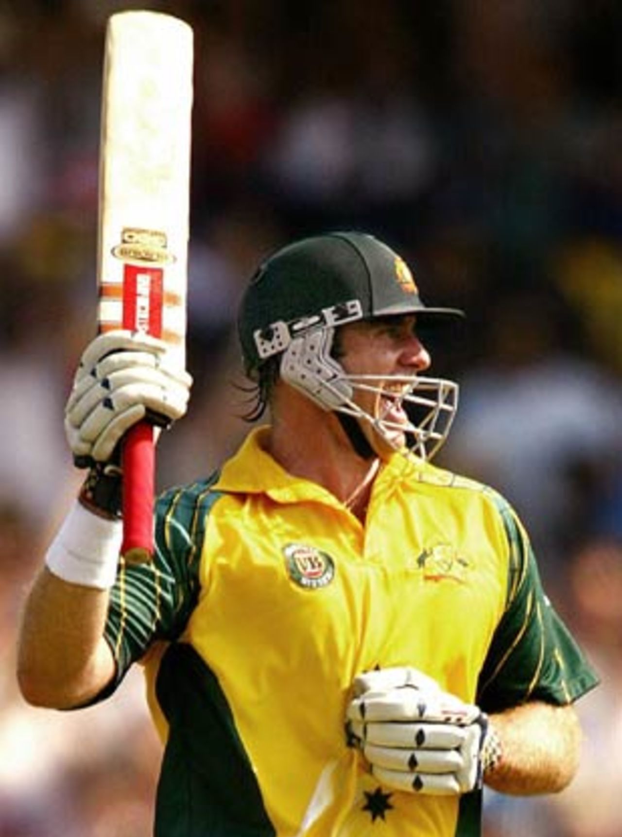 Matthew Hayden took Australia to a mammoth 359 with his century, Australia v India, VB Series, 2nd final, Sydney, February 8, 2004