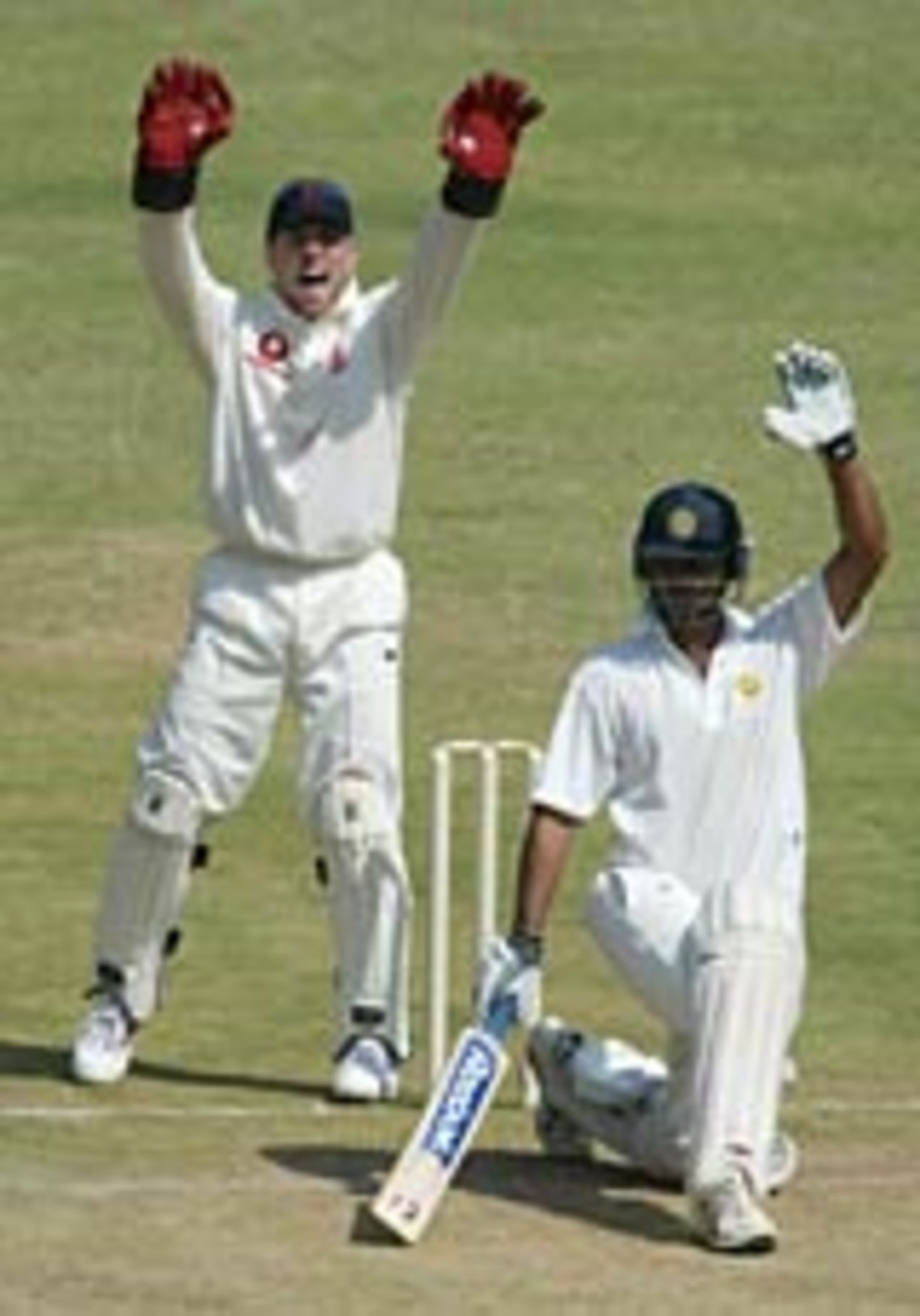 Dinesh Mongia survives a confident appeal from Matthew Prior, India A v England A, Banglalore, February 9, 2004
