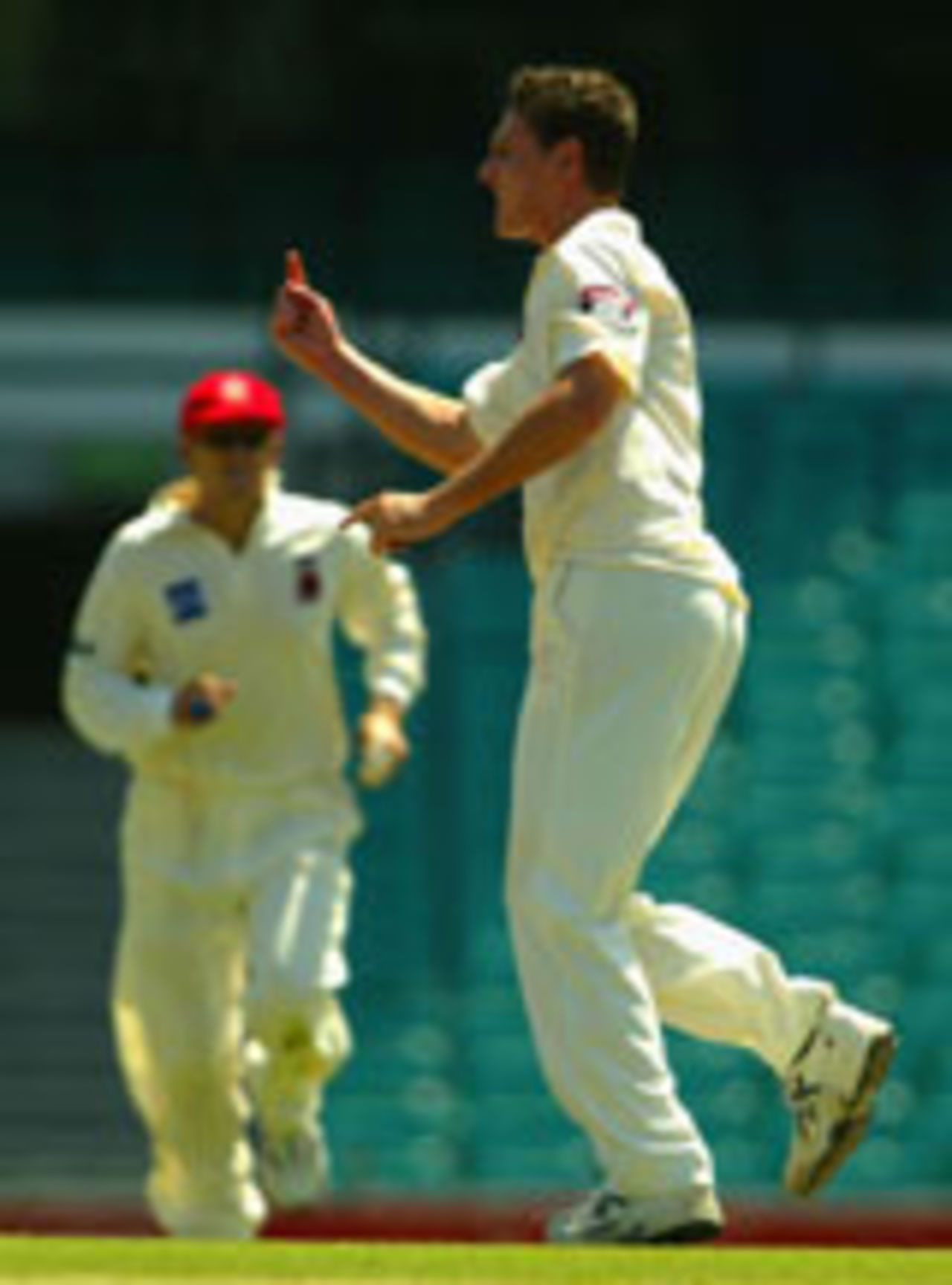 Shaun Tait celebrates a wicket, New South Wales v South Australia, Pura Cup, Sydney, February 17, 2004