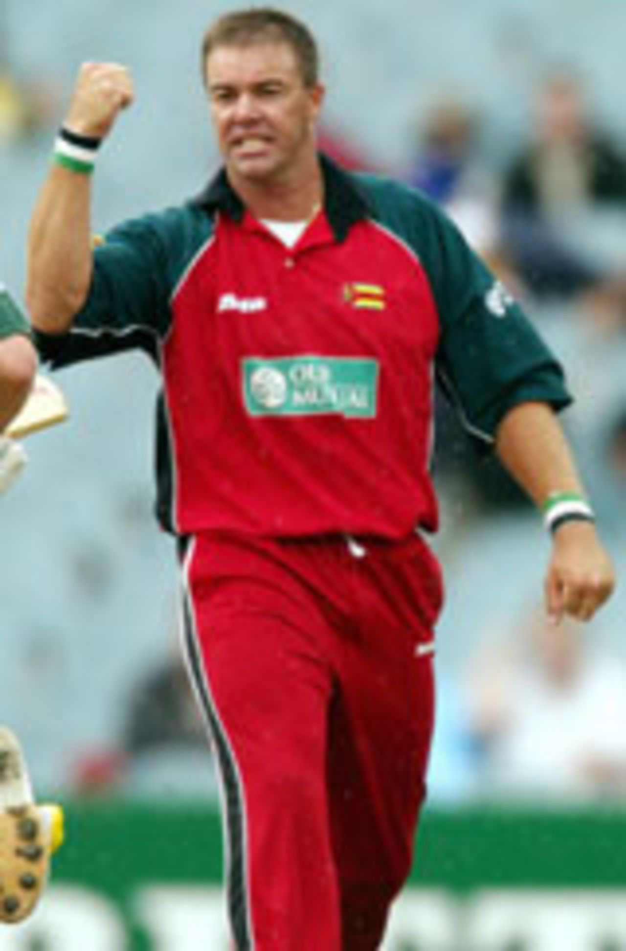 Heath Streak celebrates the wicket of Damien Martyn, VB Series, Melbourne, January 29, 2004